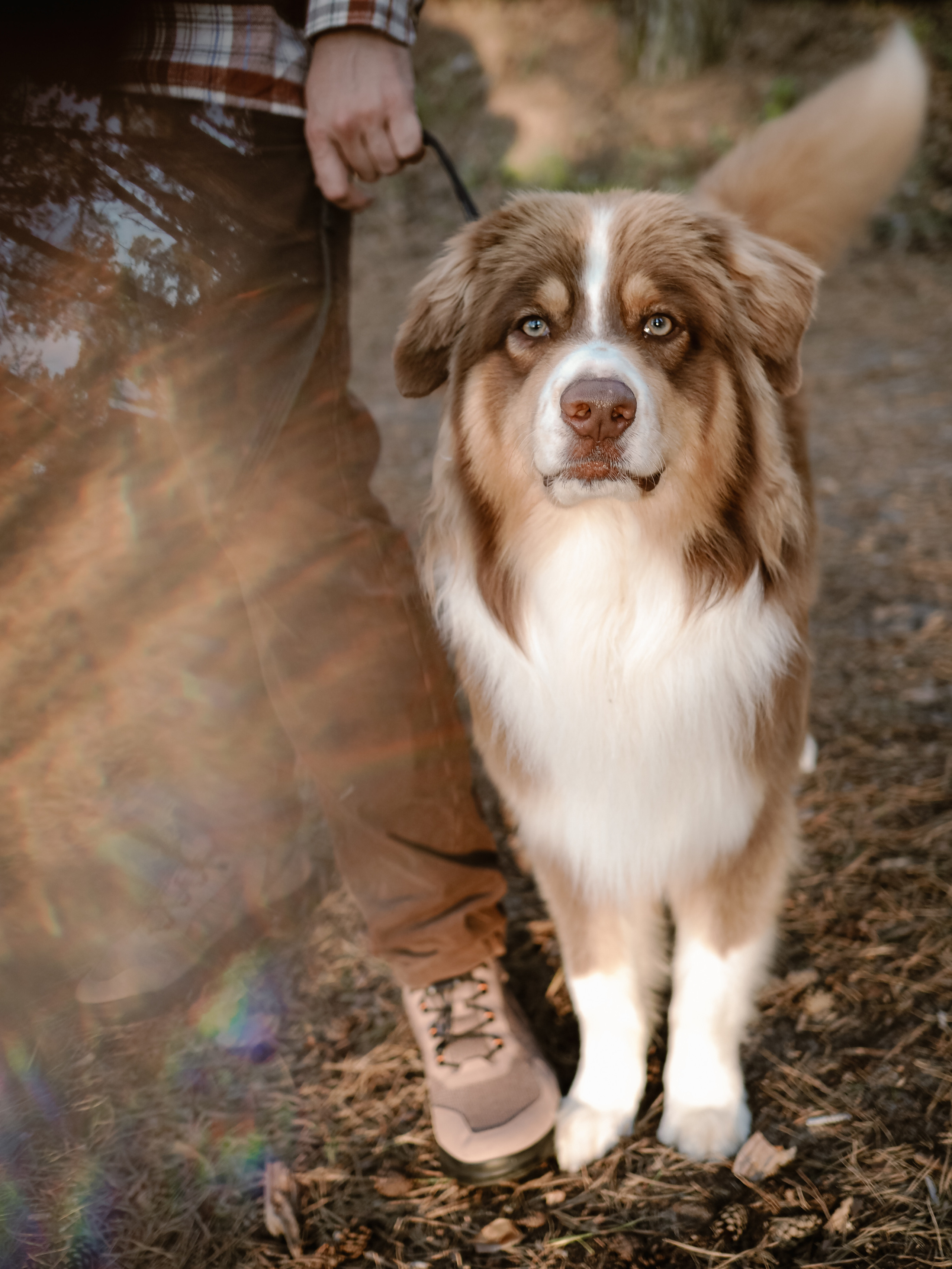 Прогулка с Мичи. Фотограф Рязань. Семейный Свадебный фотограф