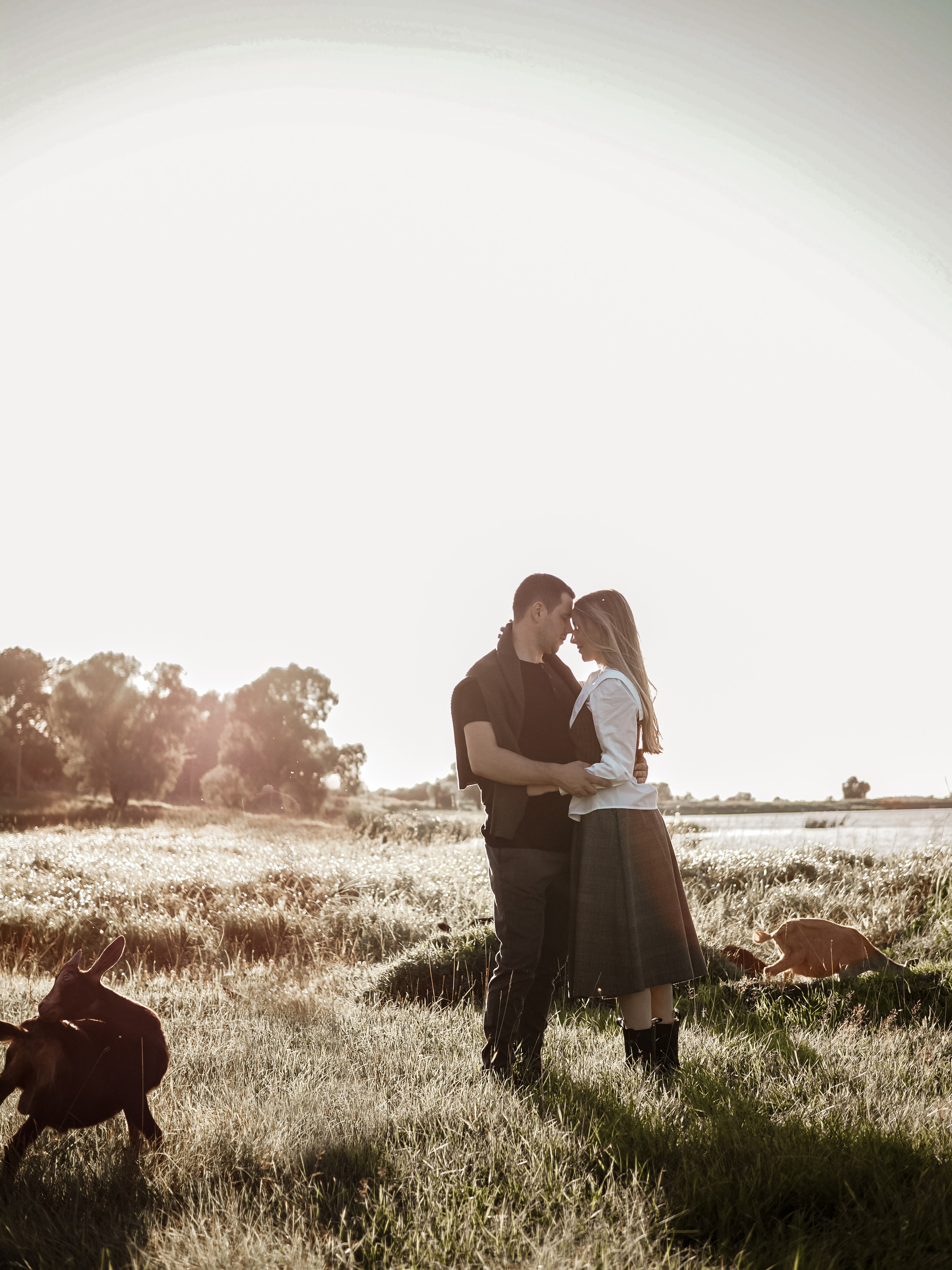 Холмы на закате. Фотограф Рязань. Семейный Свадебный фотограф