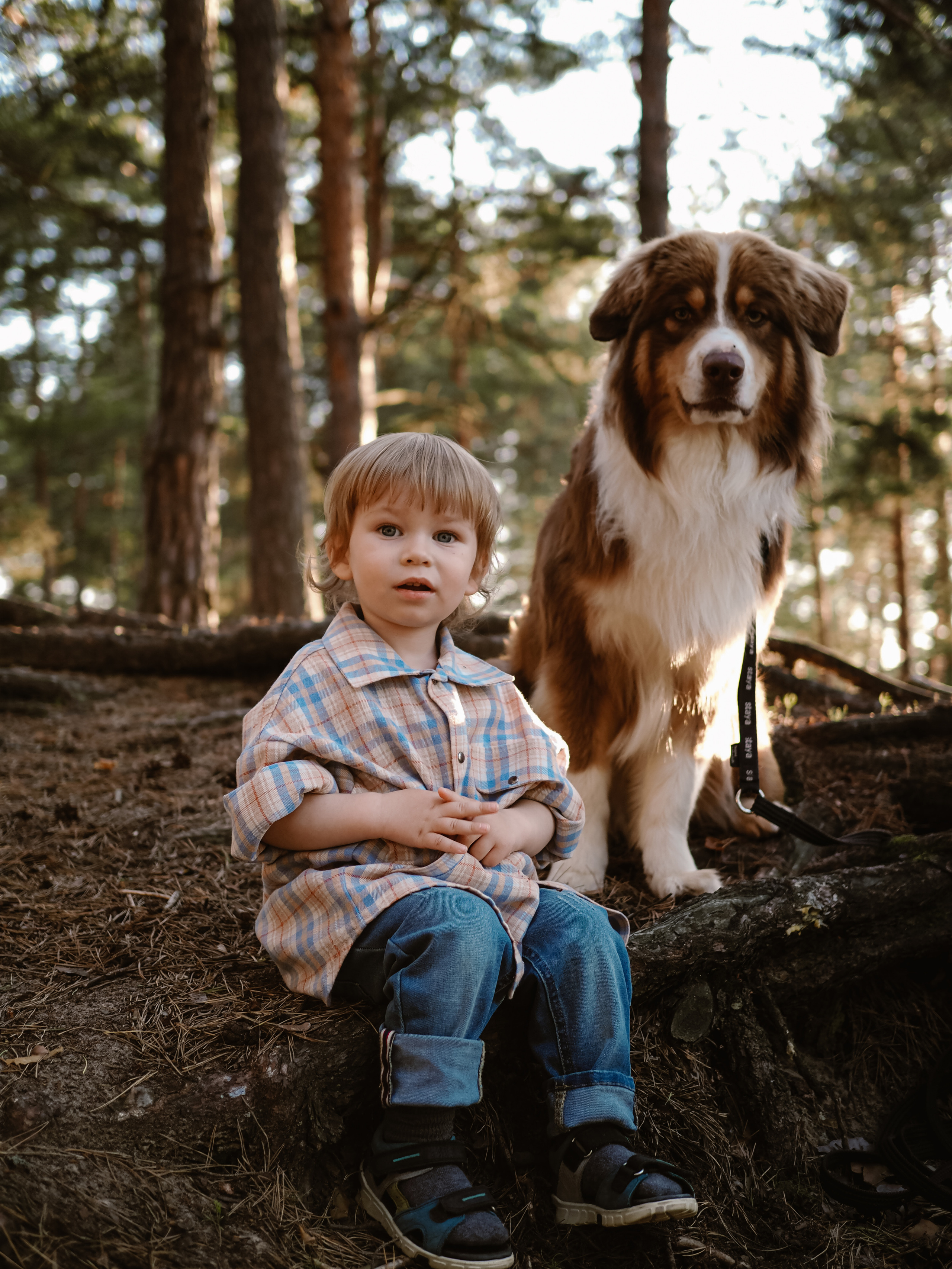 Прогулка с Мичи. Фотограф Рязань. Семейный Свадебный фотограф
