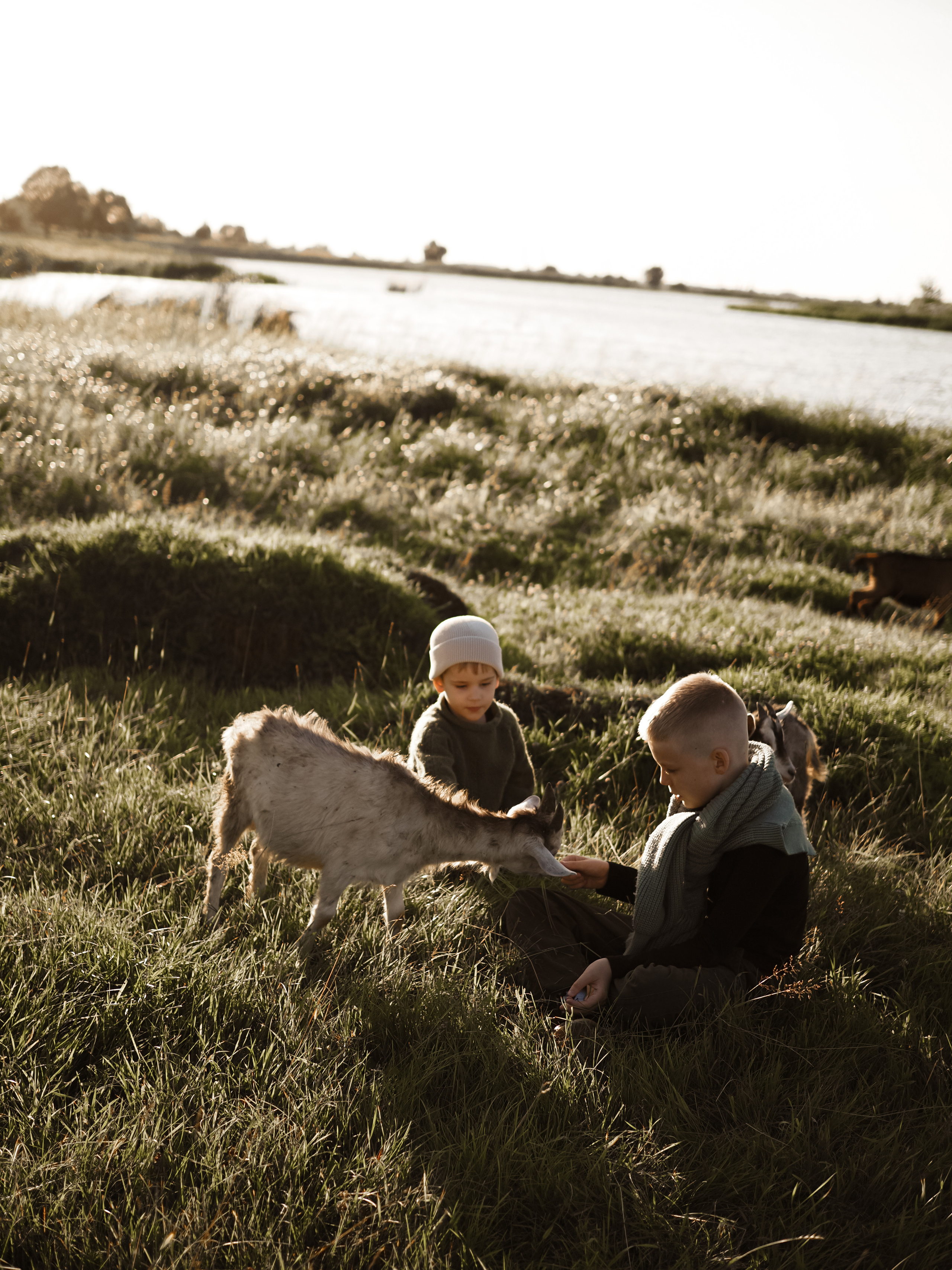 Холмы на закате. Фотограф Рязань. Семейный Свадебный фотограф