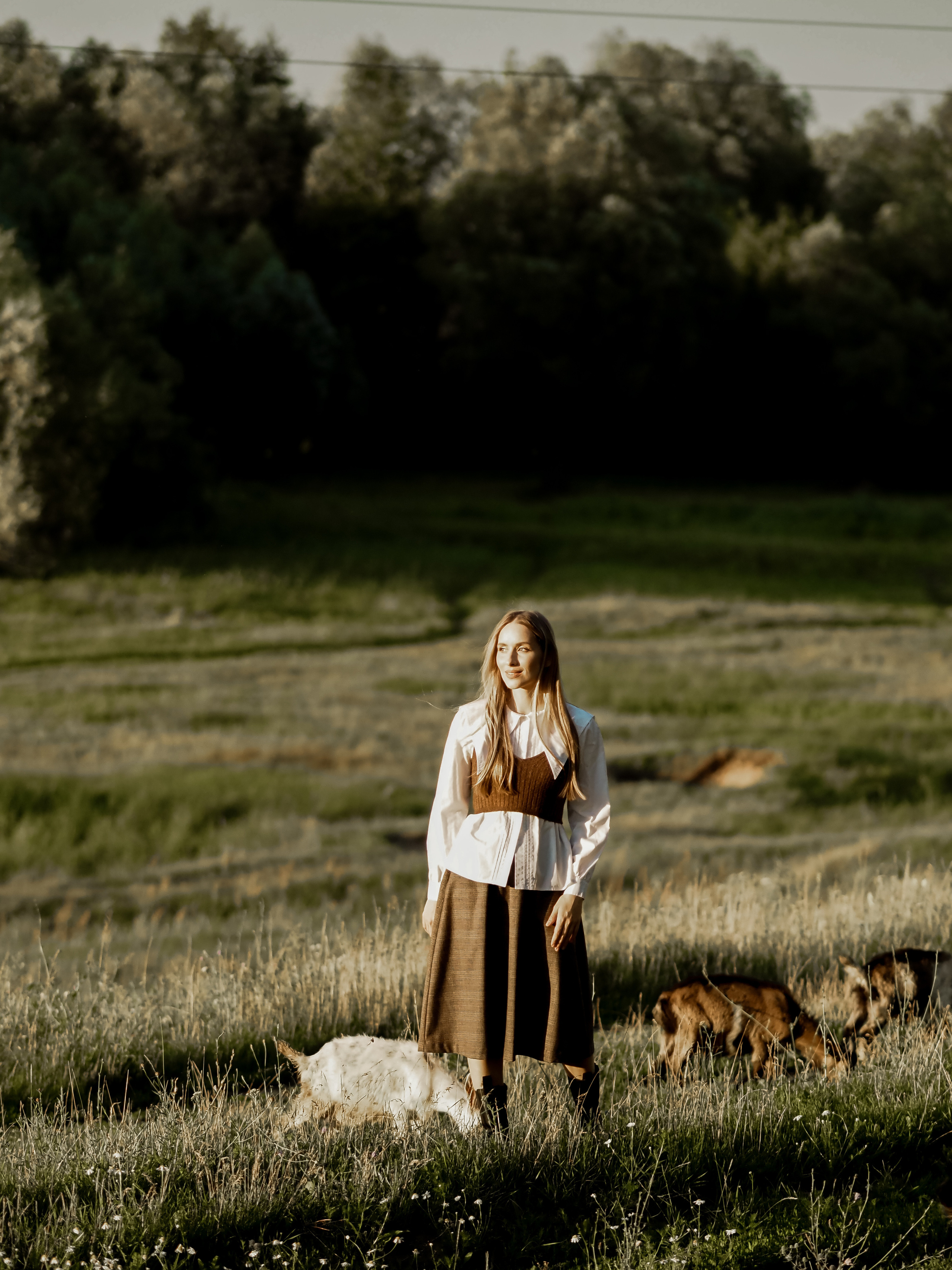 Холмы на закате. Фотограф Рязань. Семейный Свадебный фотограф