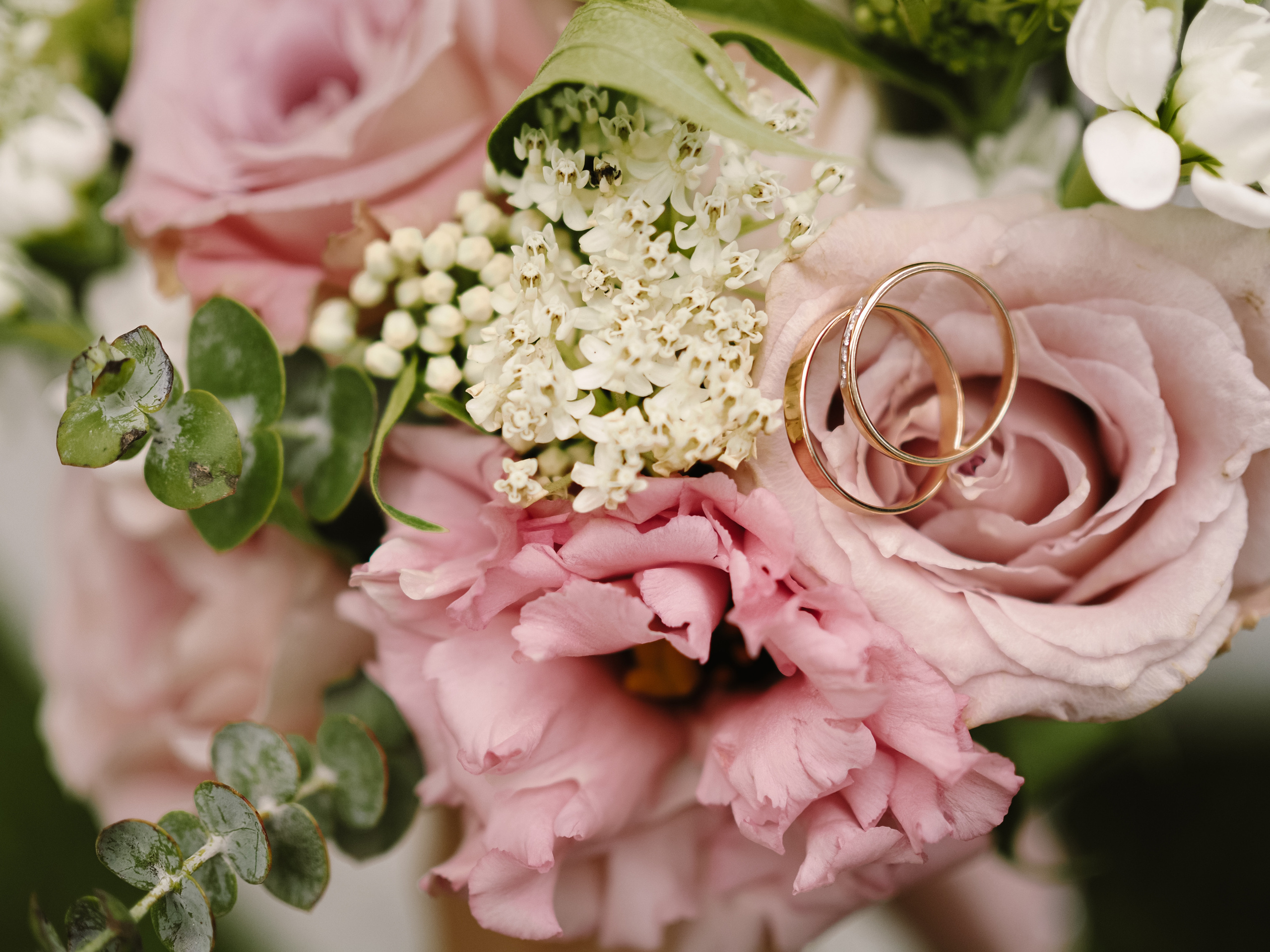 Наталья и Александр. Фотограф Рязань. Семейный Свадебный фотограф