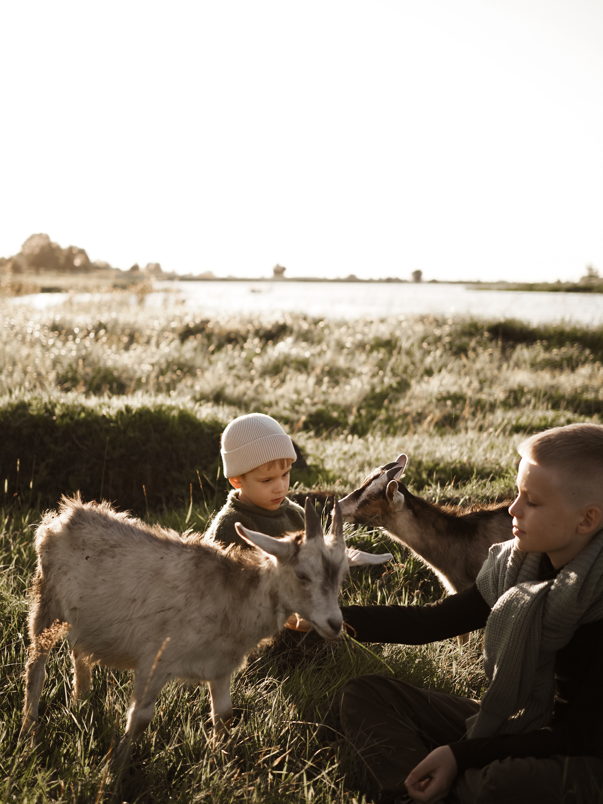 Холмы на закате. Фотограф Рязань. Семейный Свадебный фотограф