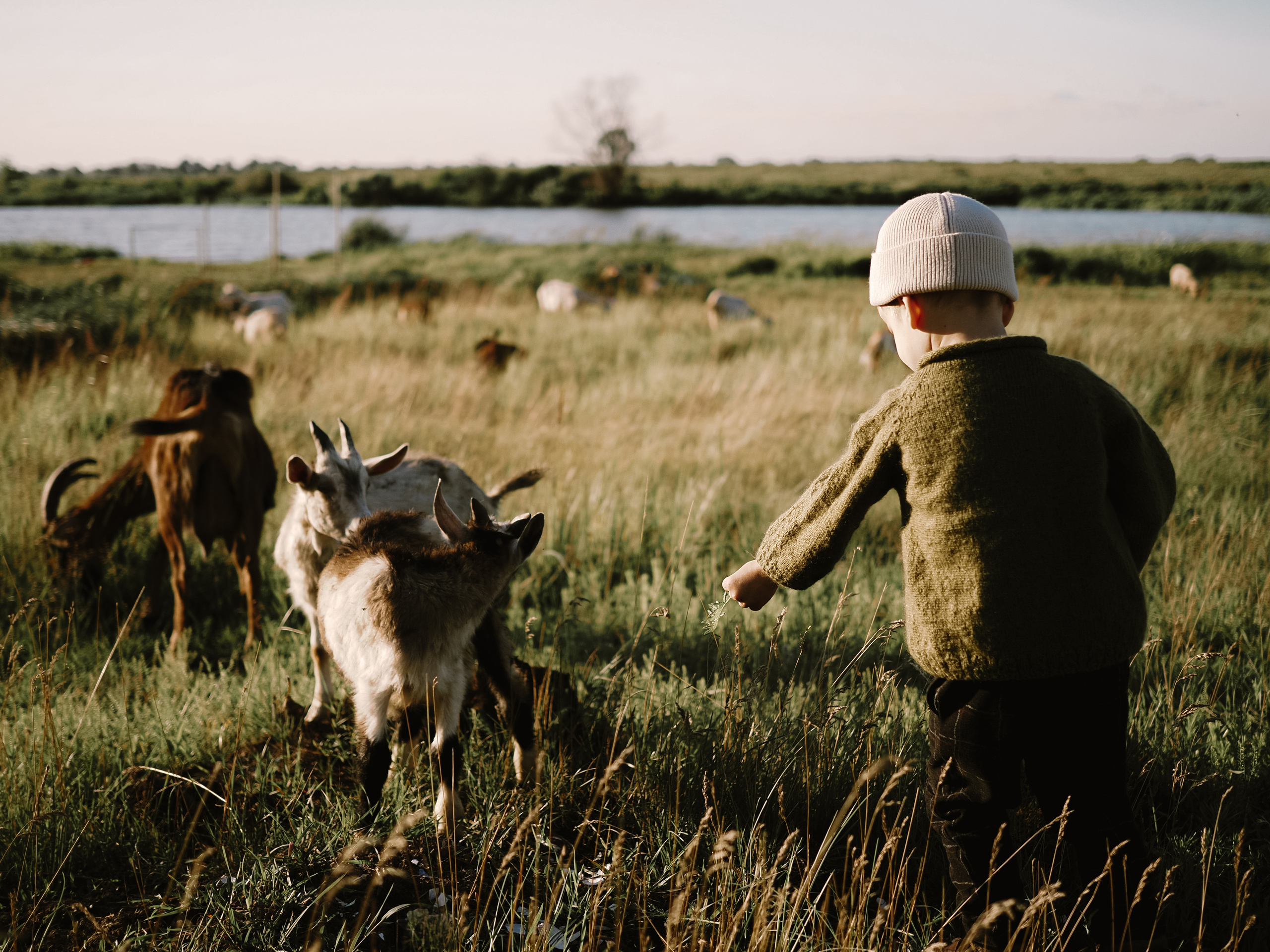 Холмы на закате. Фотограф Рязань. Семейный Свадебный фотограф