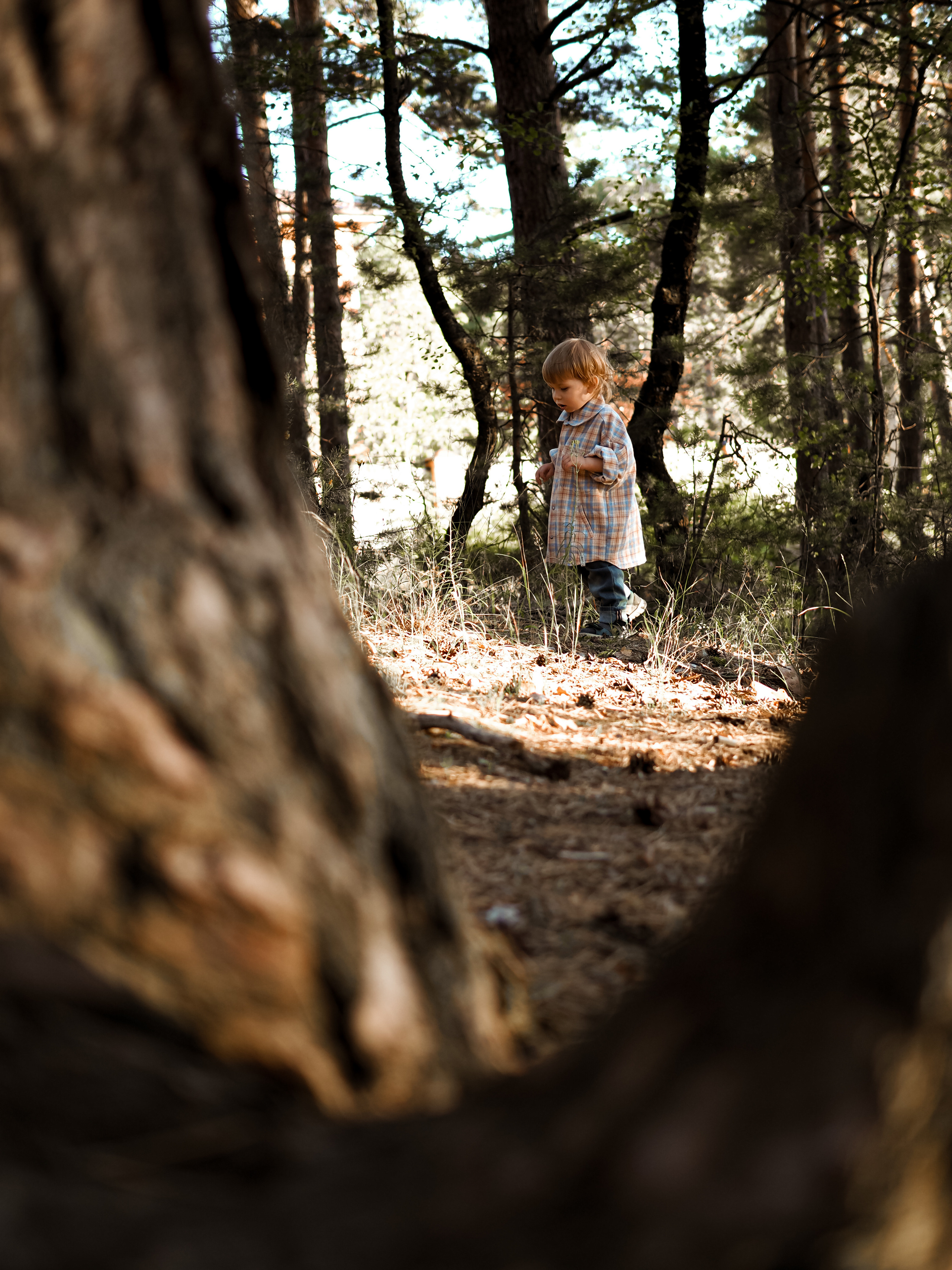 Прогулка с Мичи. Фотограф Рязань. Семейный Свадебный фотограф