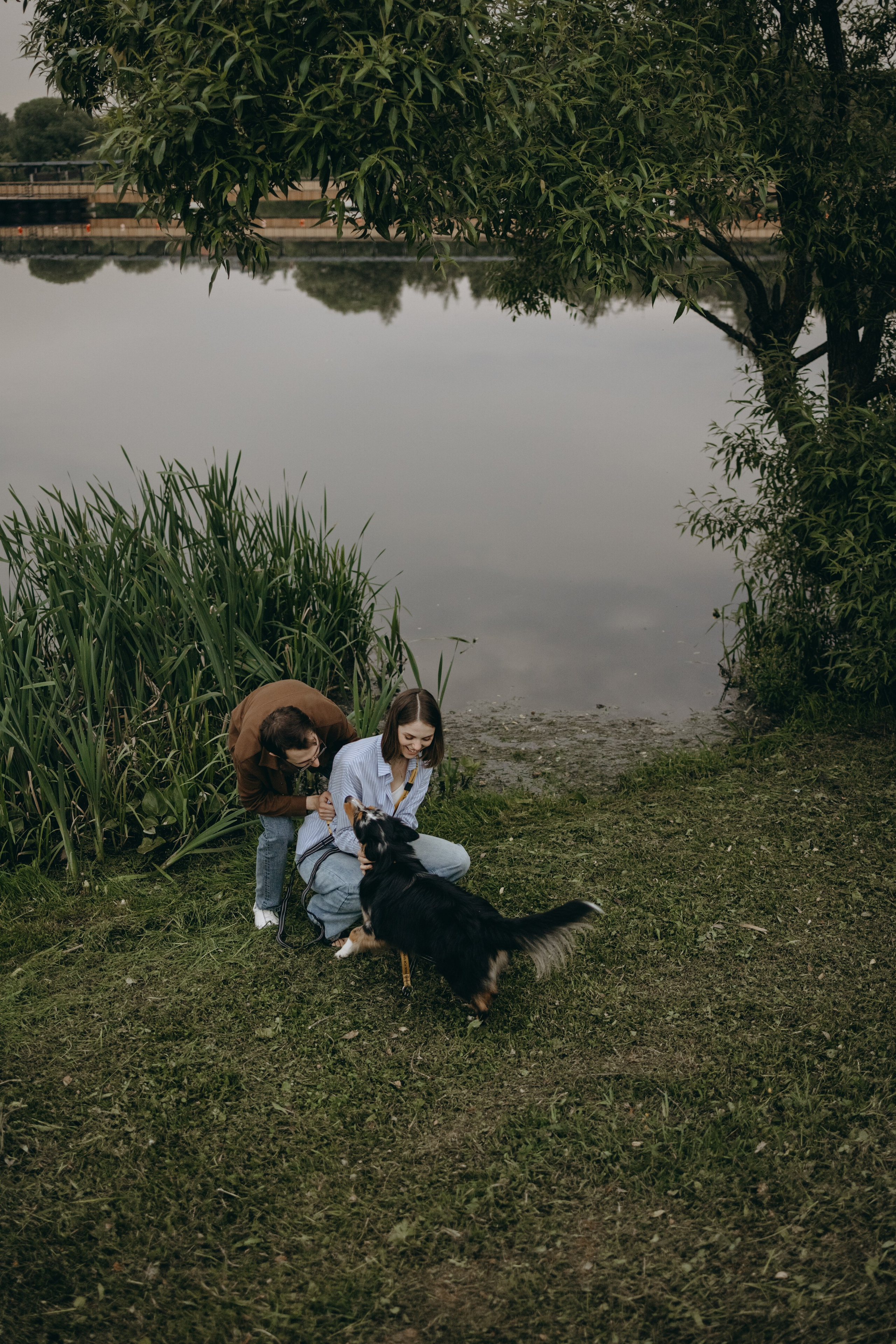 Настя, Никита и их Гром и Мяу. Фотограф — Анималист | Санкт-Петербург