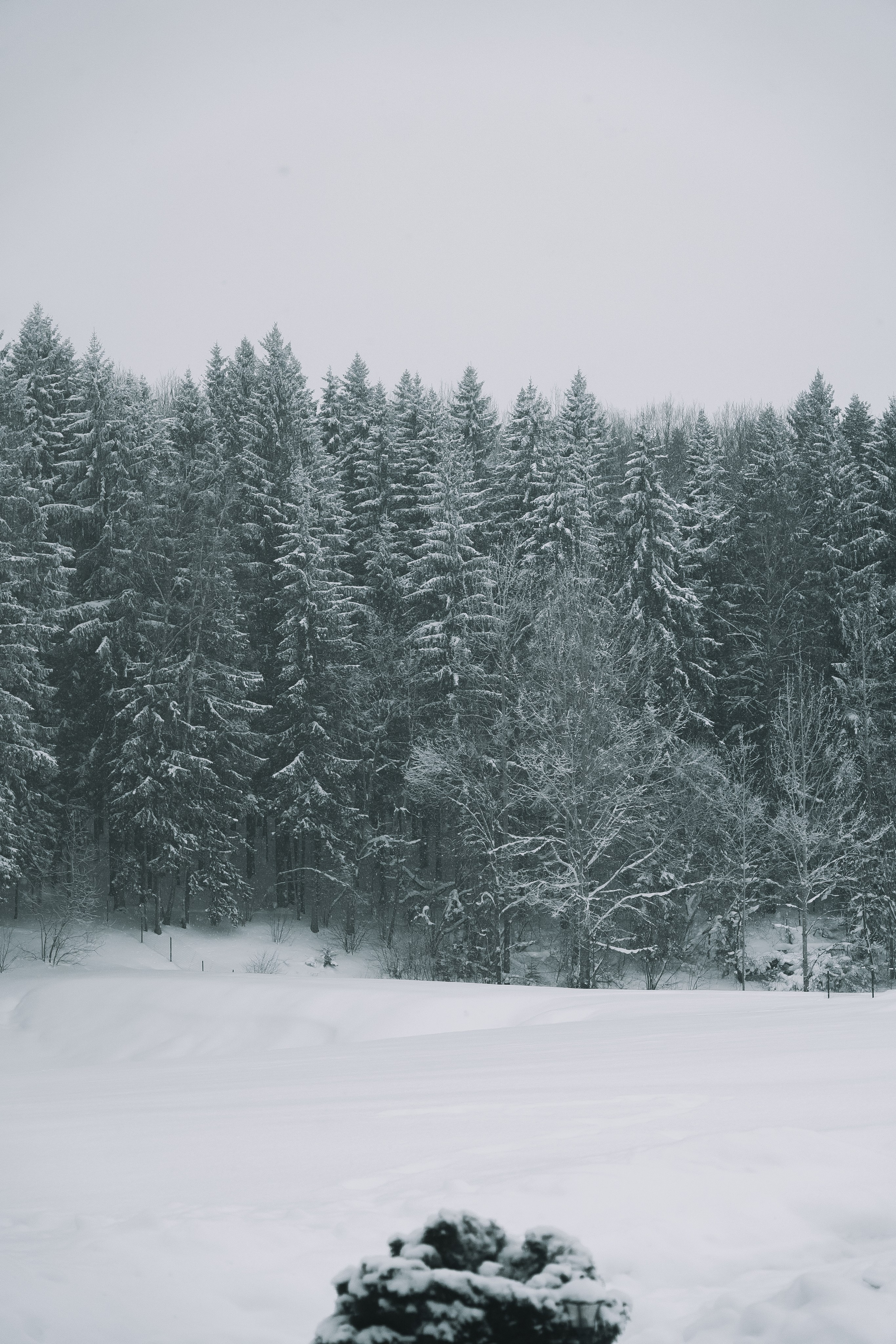 Любимкинс. Свадебный Фотограф Минск || Фото и Видеосъёмка Минск || Другие города