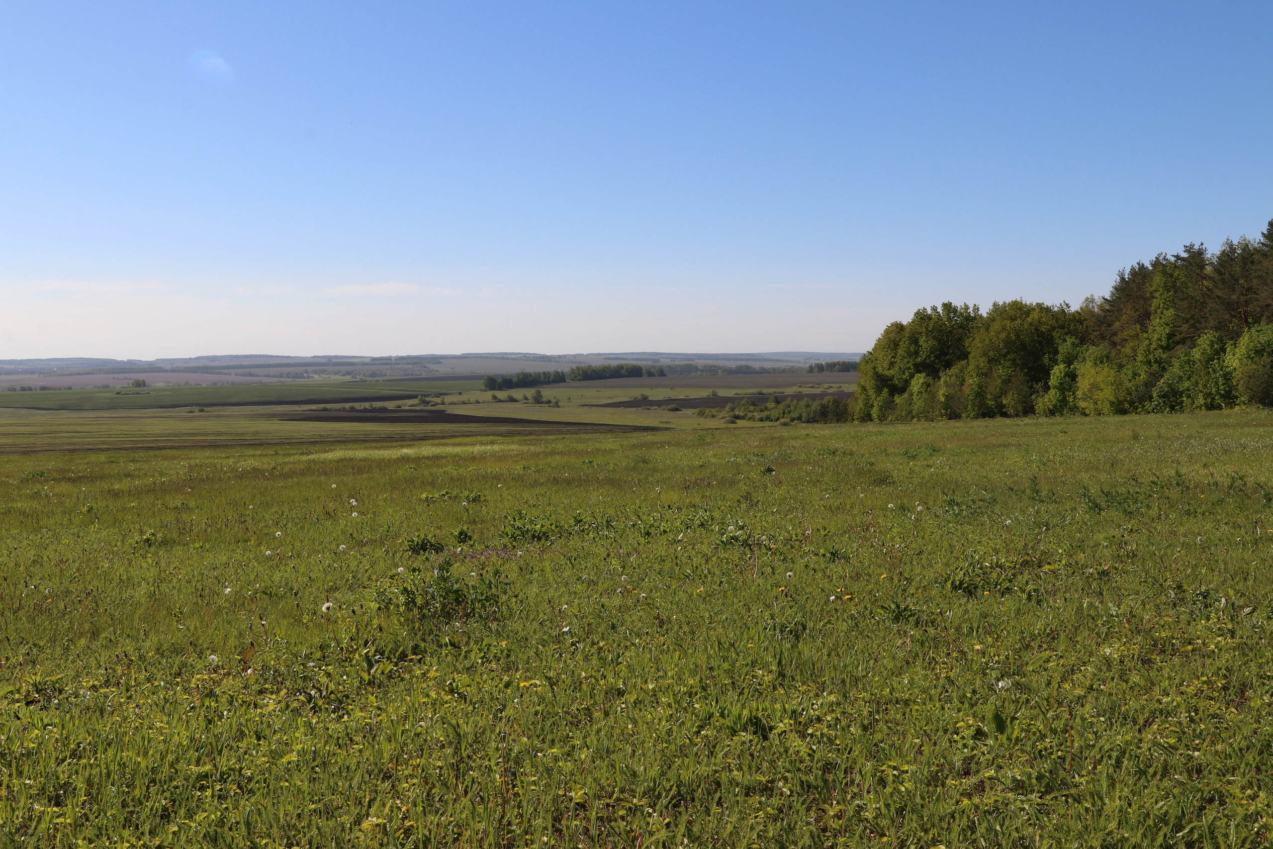 Велопоход Уфа — Мелеуз. Май 2024. Путешественник-фотограф из Санкт-Петербурга Татьяна Свистулина
