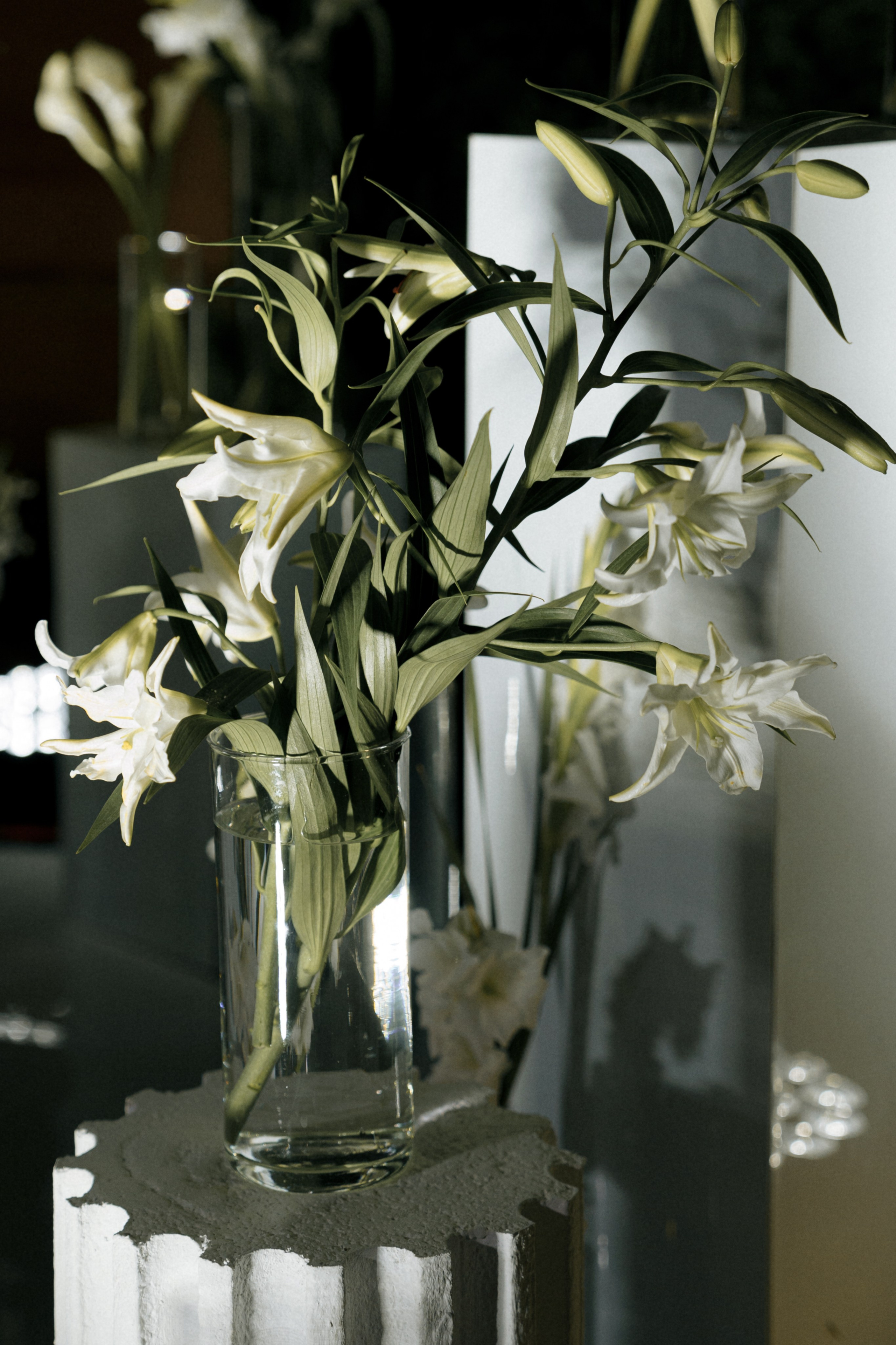 V+E. Полный день (сокращено). Семейный и портретный фотограф в Саратове Сахарова Маша