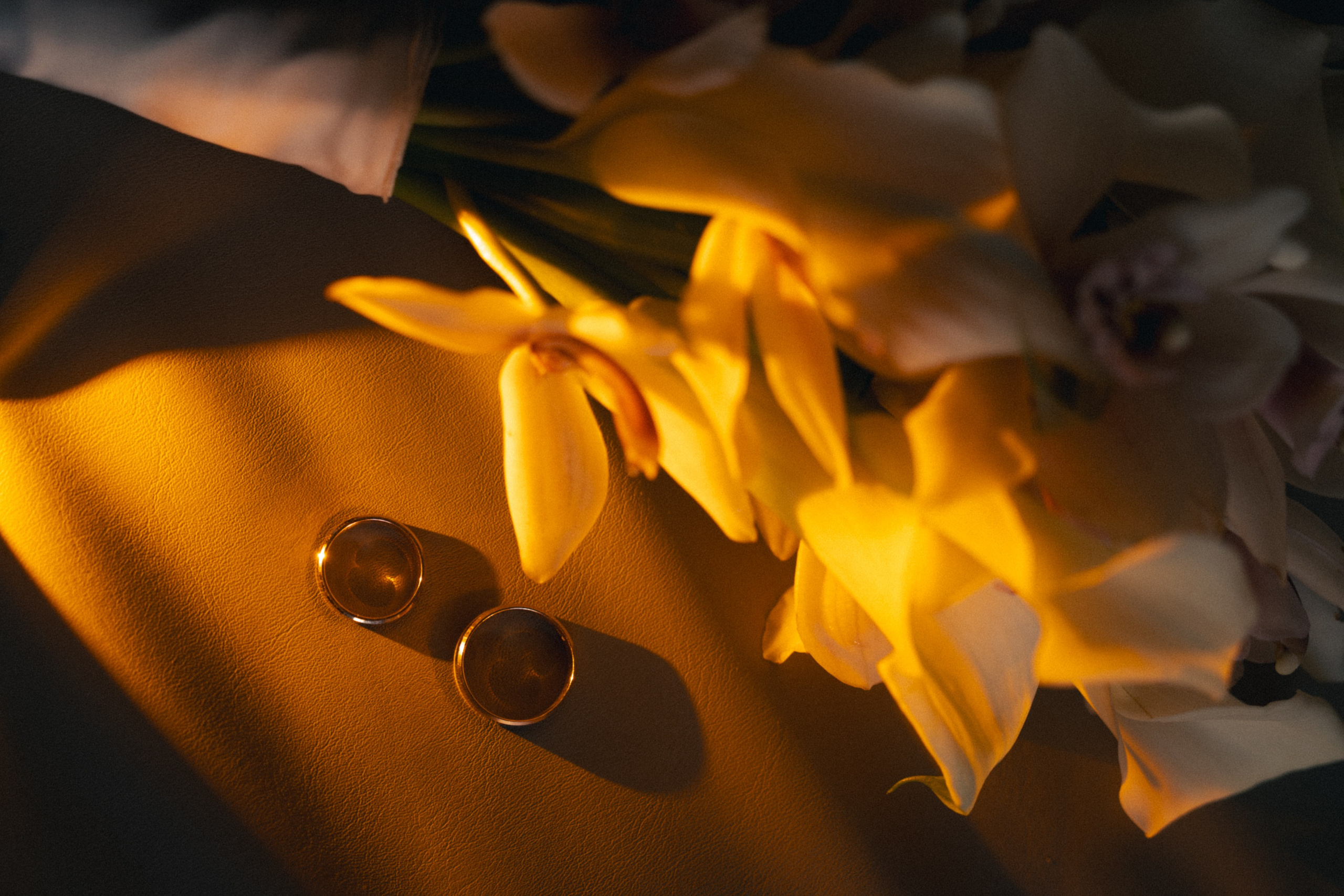 K+A 17/04/26 Анонс. Семейный и портретный фотограф в Саратове Сахарова Маша