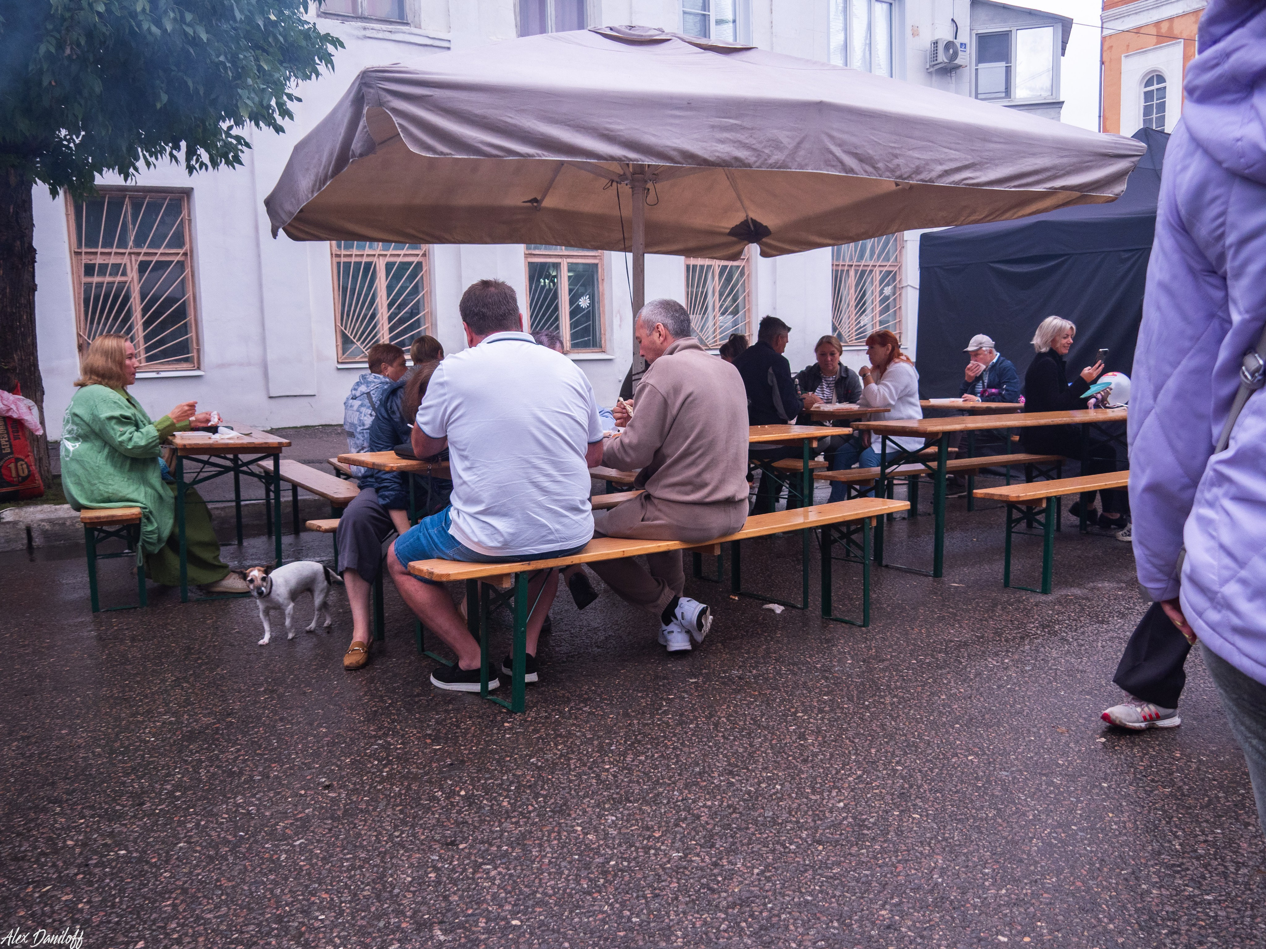 День города Муром 2025. Муром-Инфо. Новости культуры, образования, спорта в городе Муром