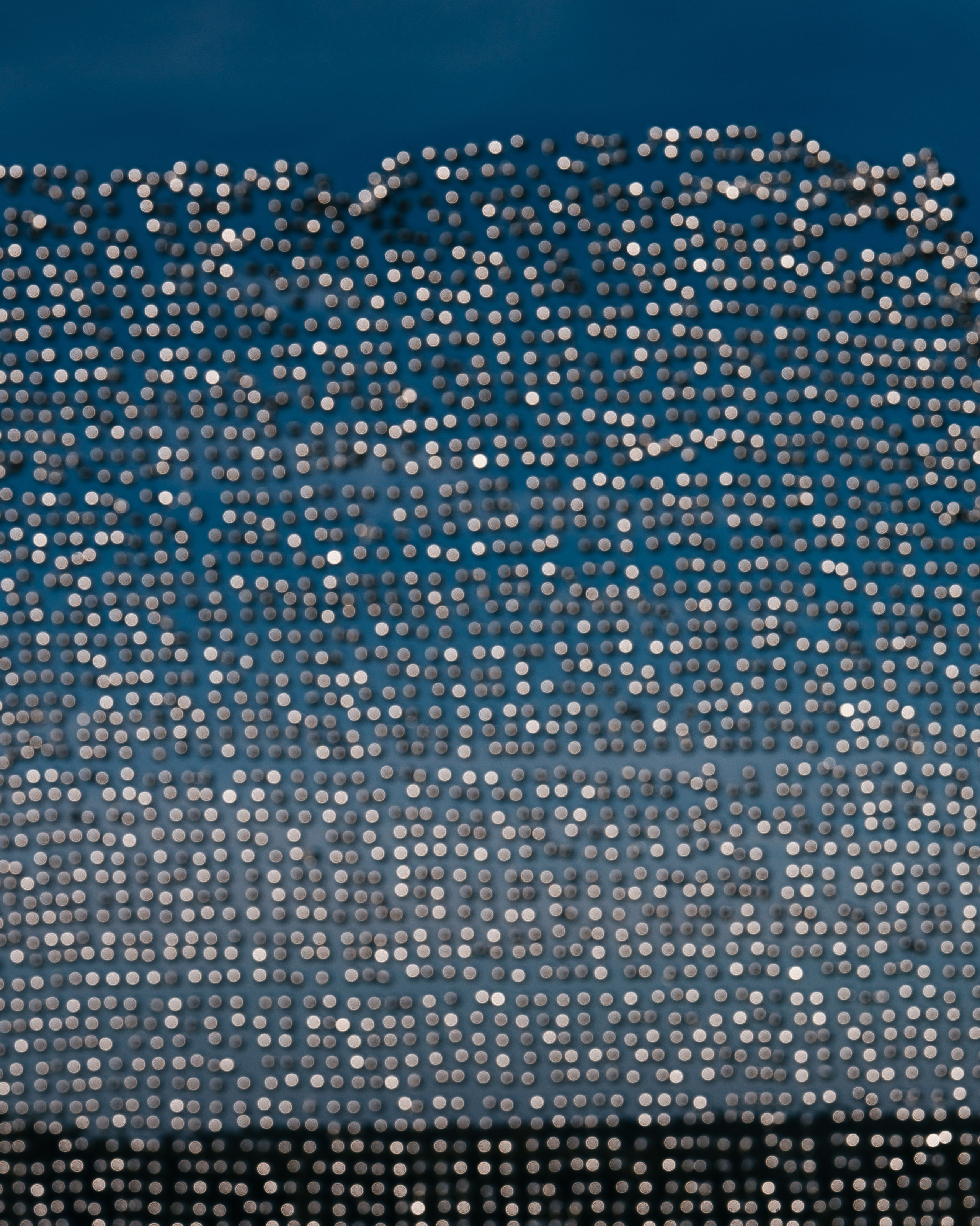 Signal 2024. @tomrus: Рустам Шагиморданов — фотограф