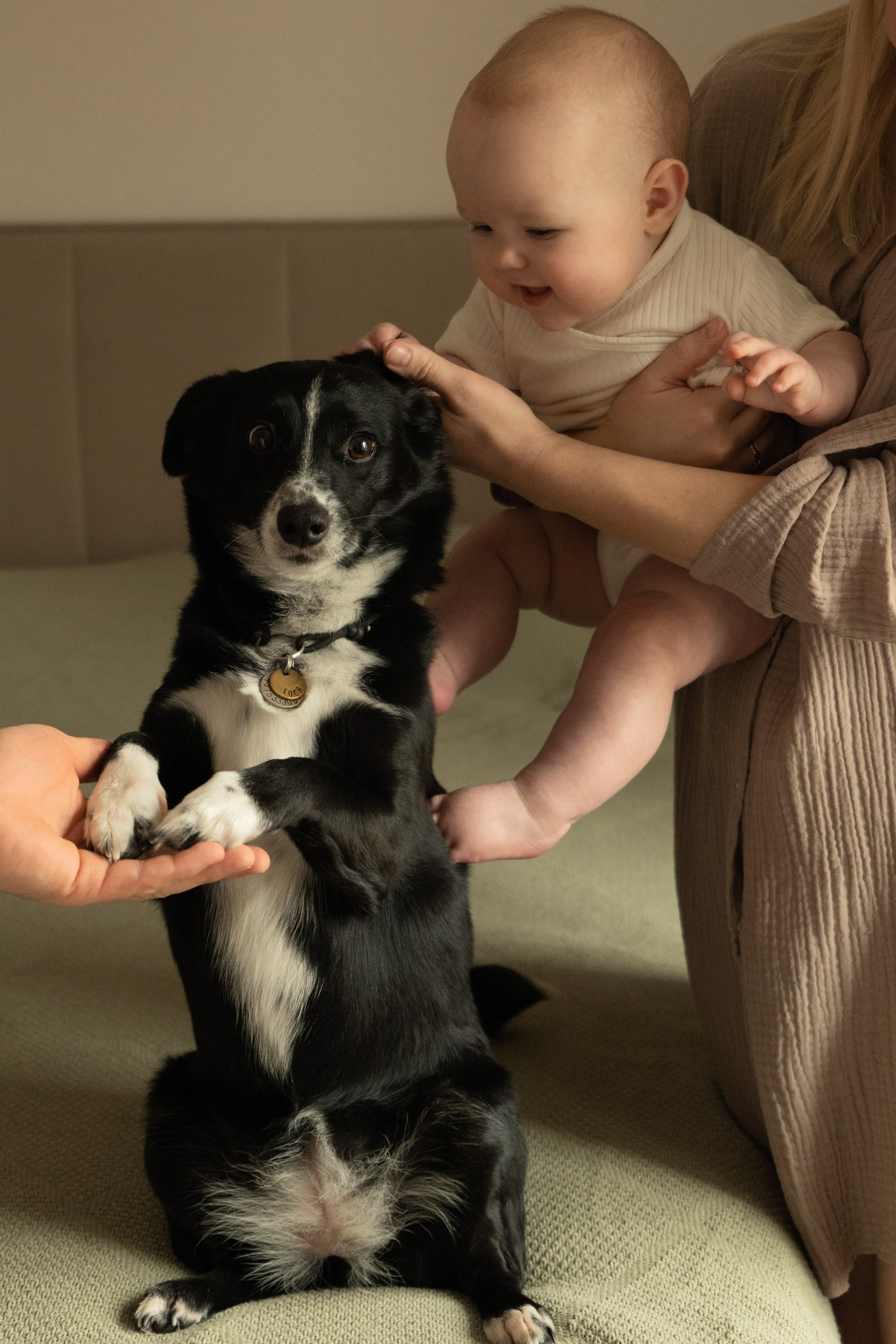 Вместе. Фотограф видеограф Ольга Василевская