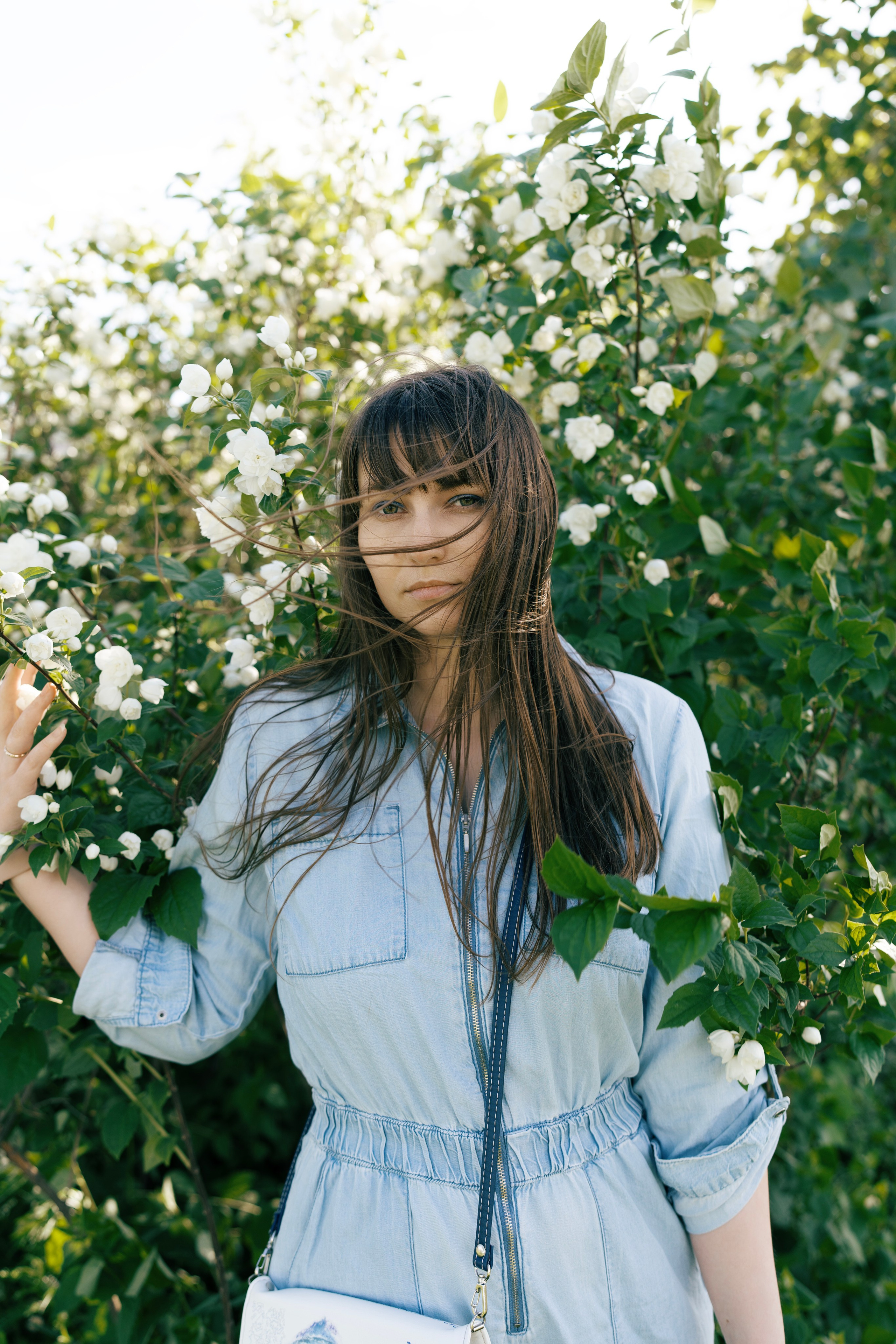 Солнце. Баев Дмитрий — фотограф из СПБ