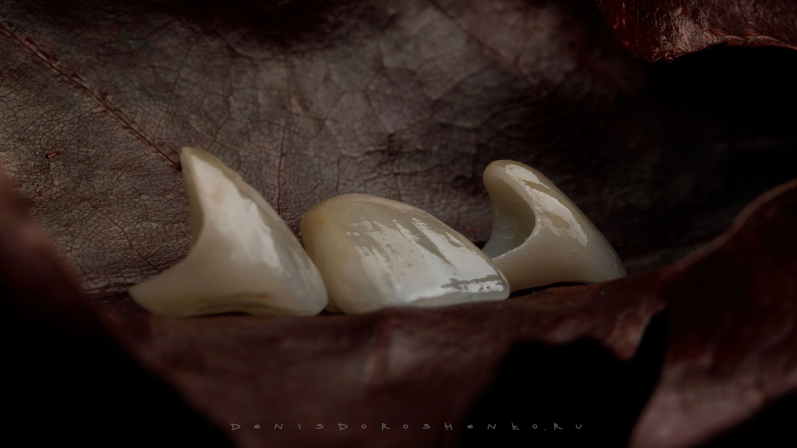 Арт. Дентал фотограф — видеограф Денис Дорошенко