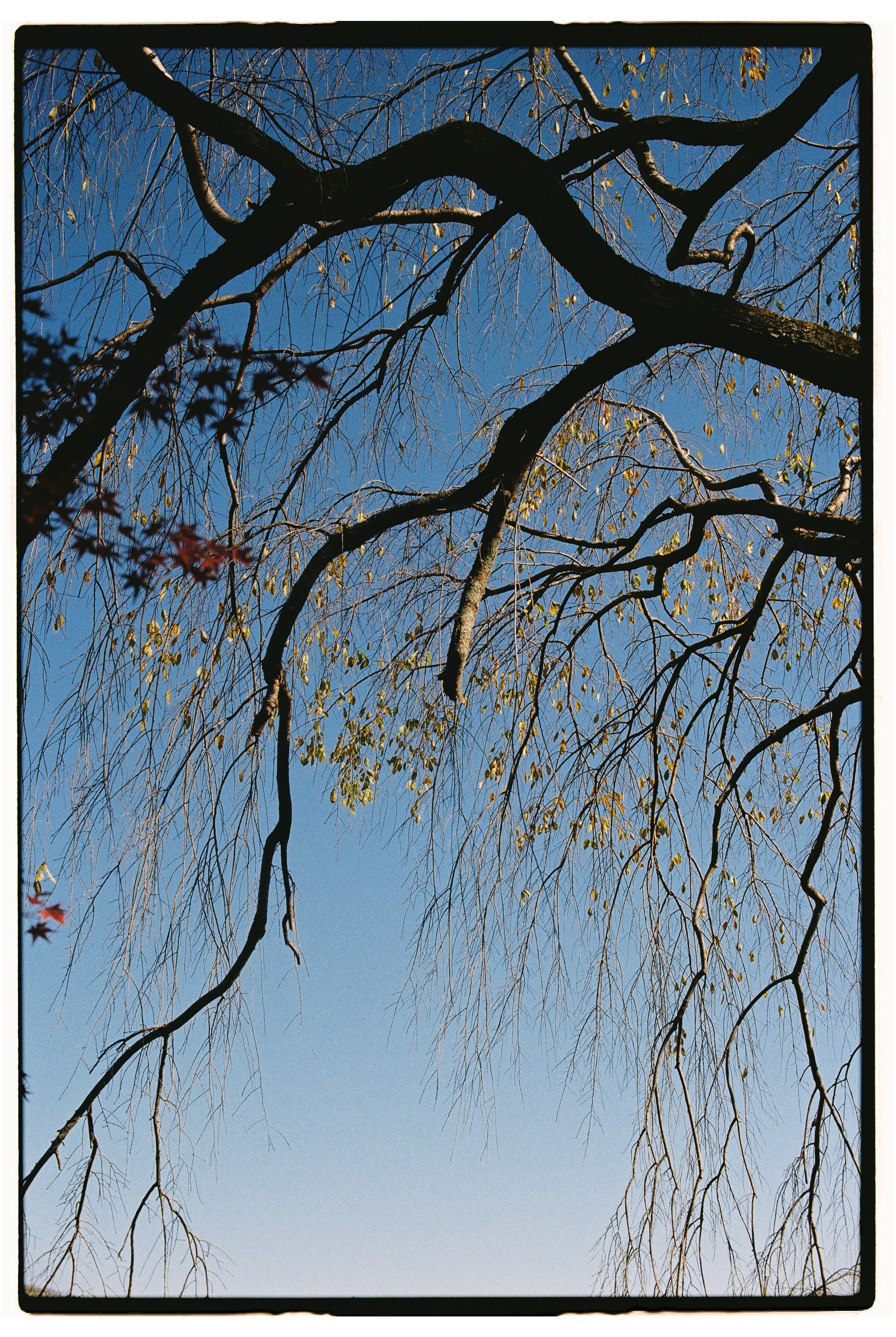 Asia. Olya Filina | Moscow Photographer