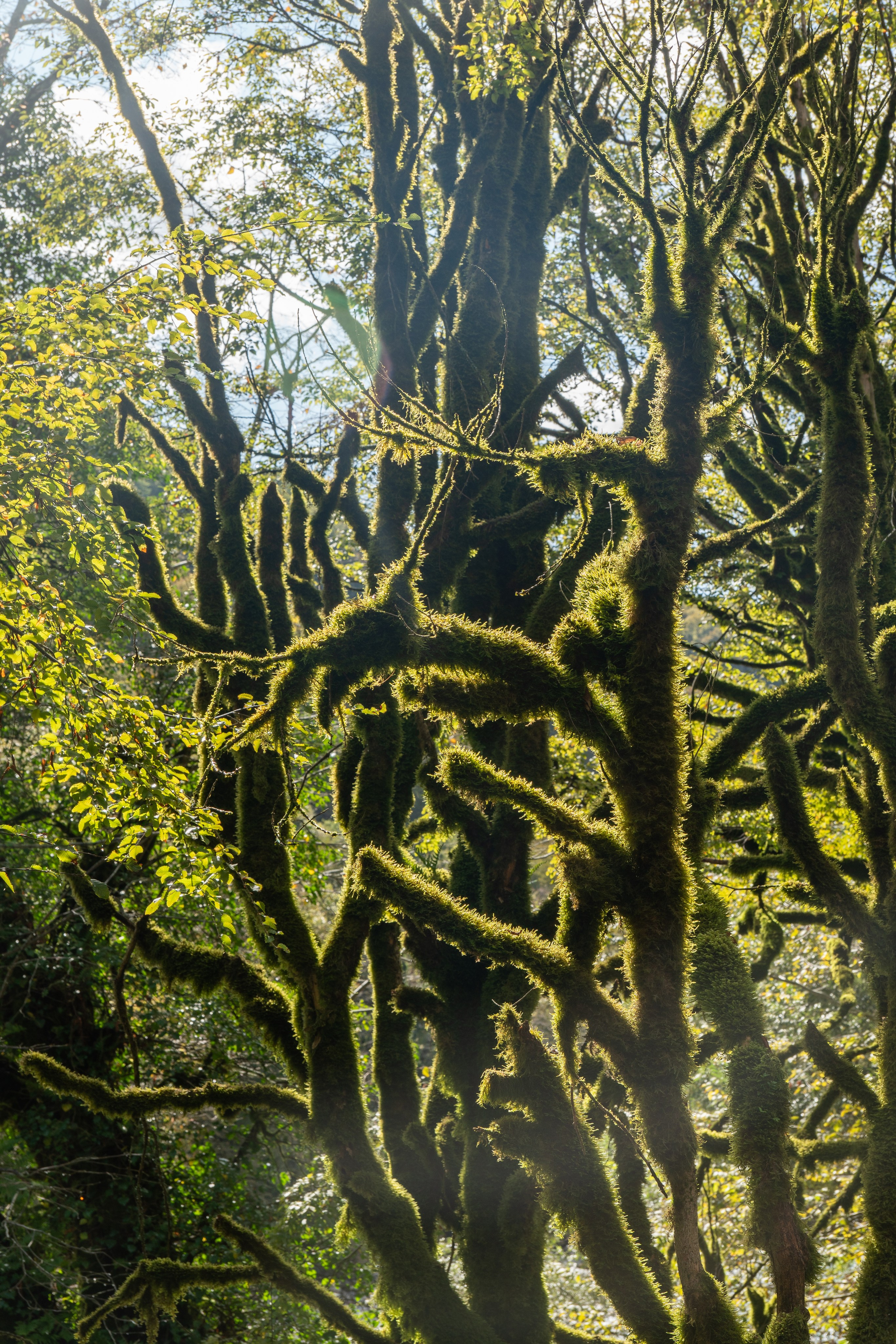 Абхазия. Gusarov Travel Photography