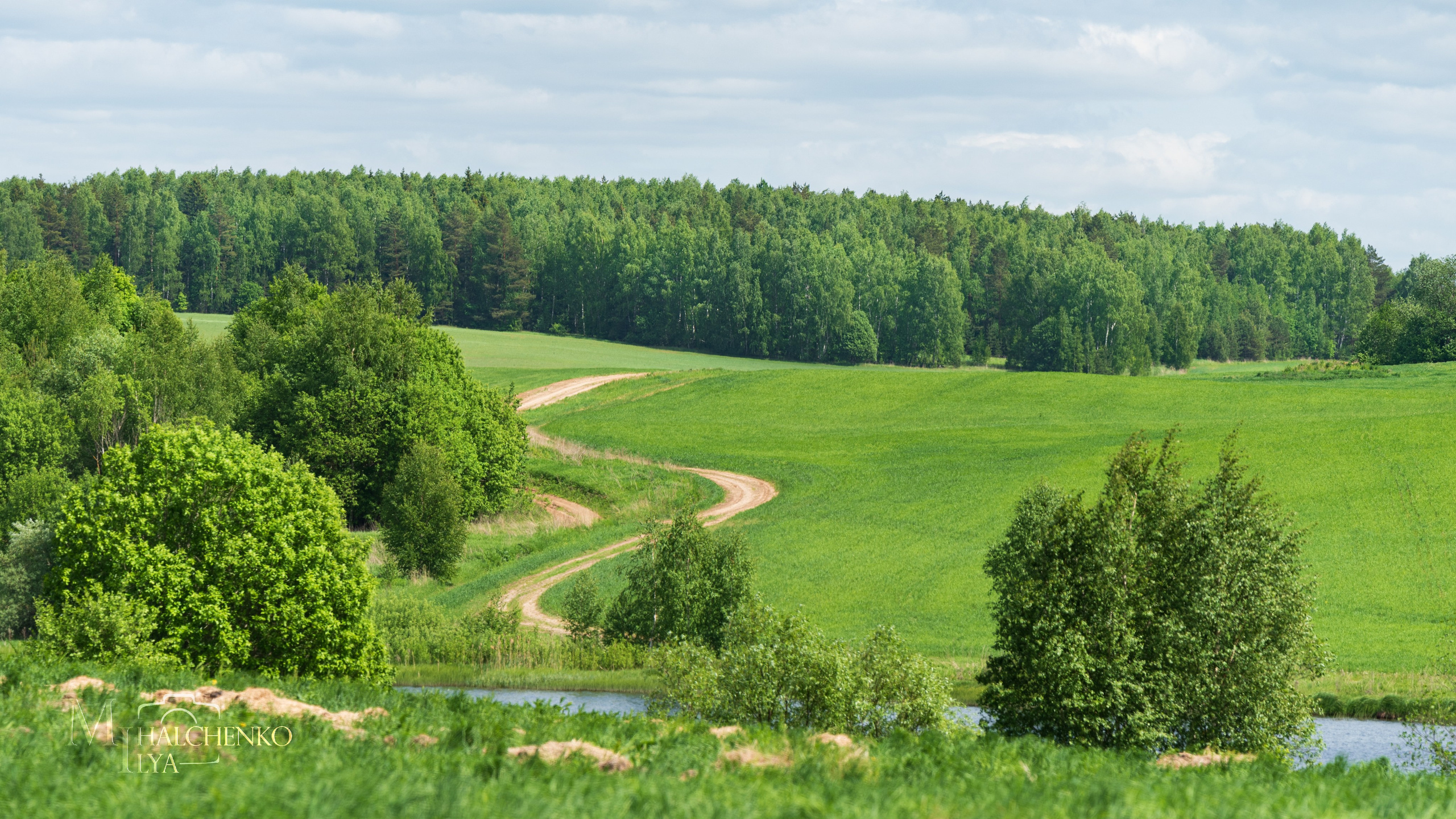 Пейзажи и архитектура. Портретная и репортажная съёмка