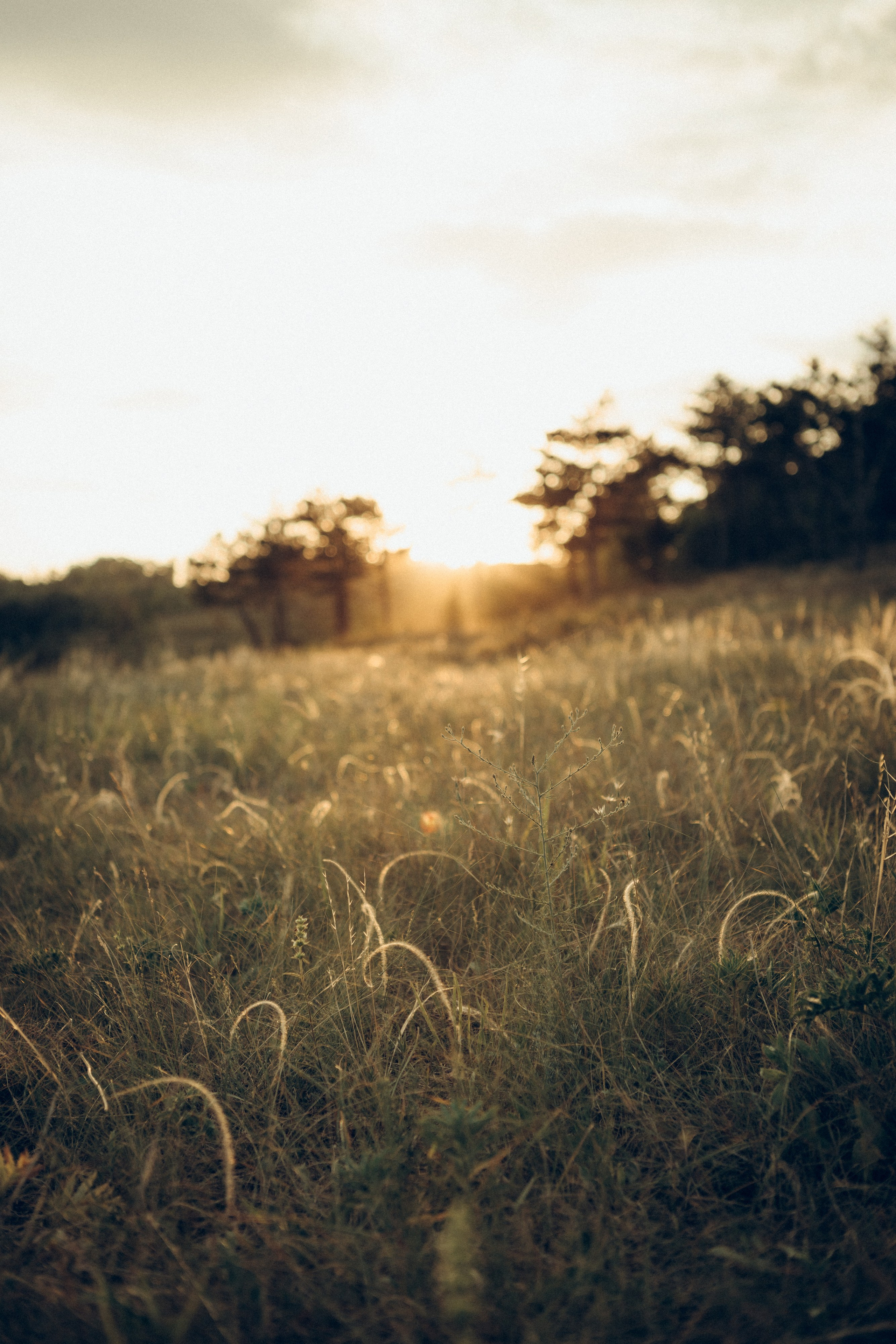 Оксана, Артем и Тимур. Семейный фотограф и фотограф на роды в Ростове-на-Дону Мухина Виктория