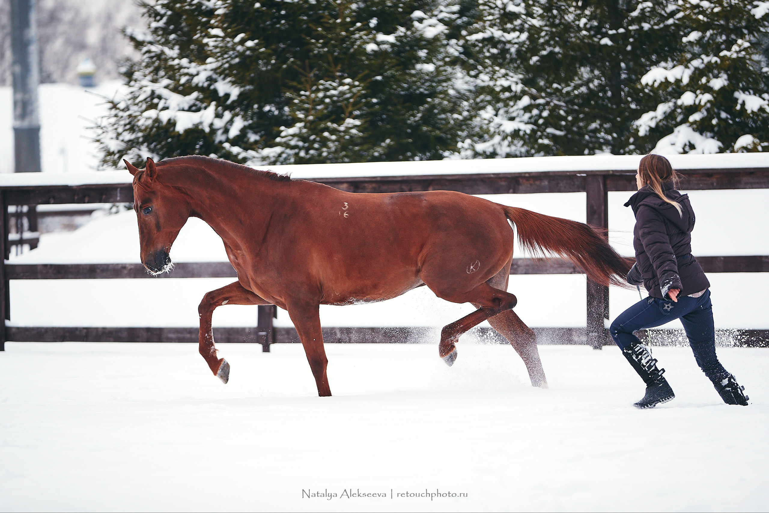 Анастасия и Софийск, КСК Отрада. Репортажный фотограф и ретушер в Москве Наталья Алексеева