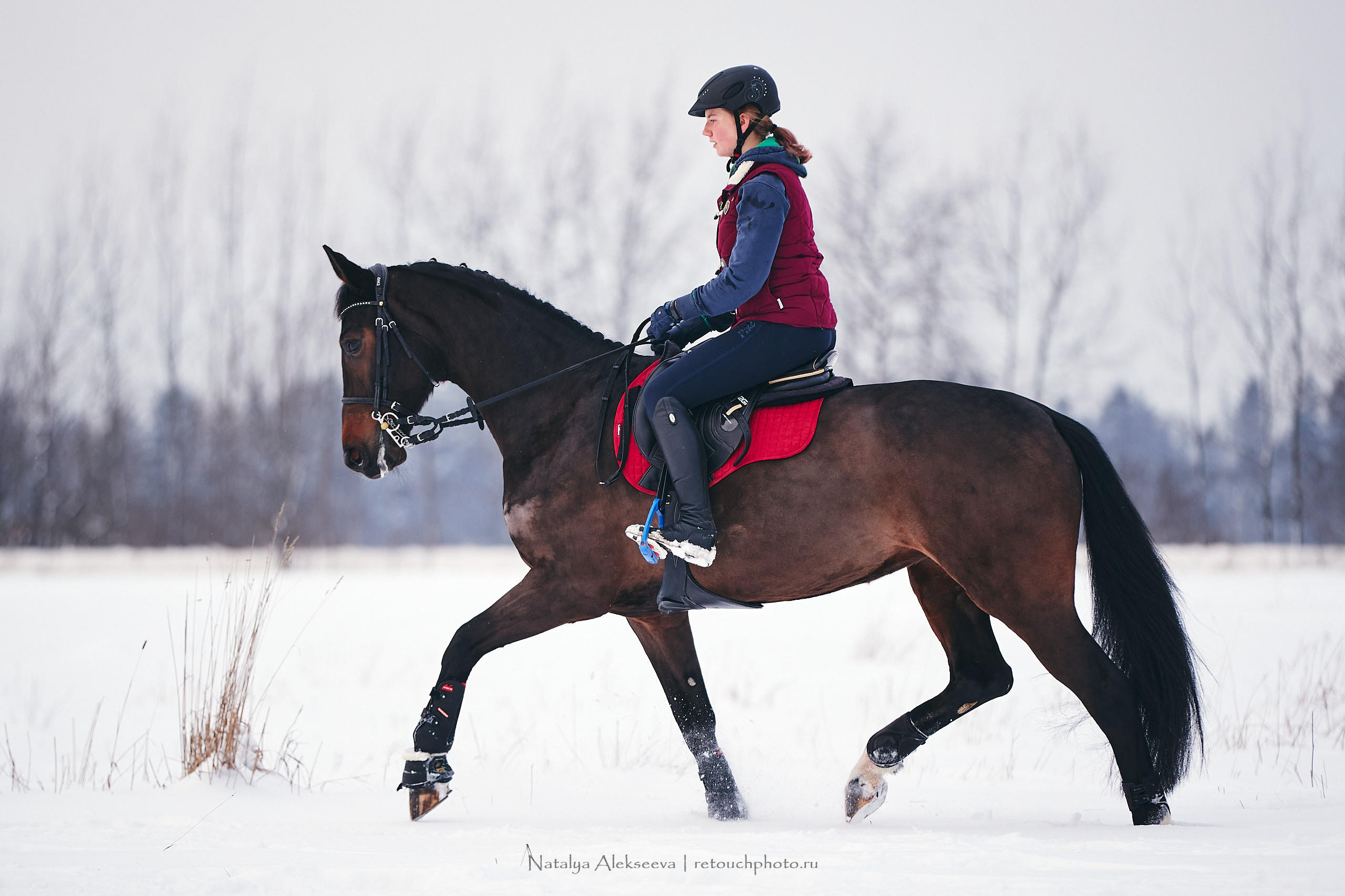 КФХ «Янсон». Репортажный фотограф и ретушер в Москве Наталья Алексеева