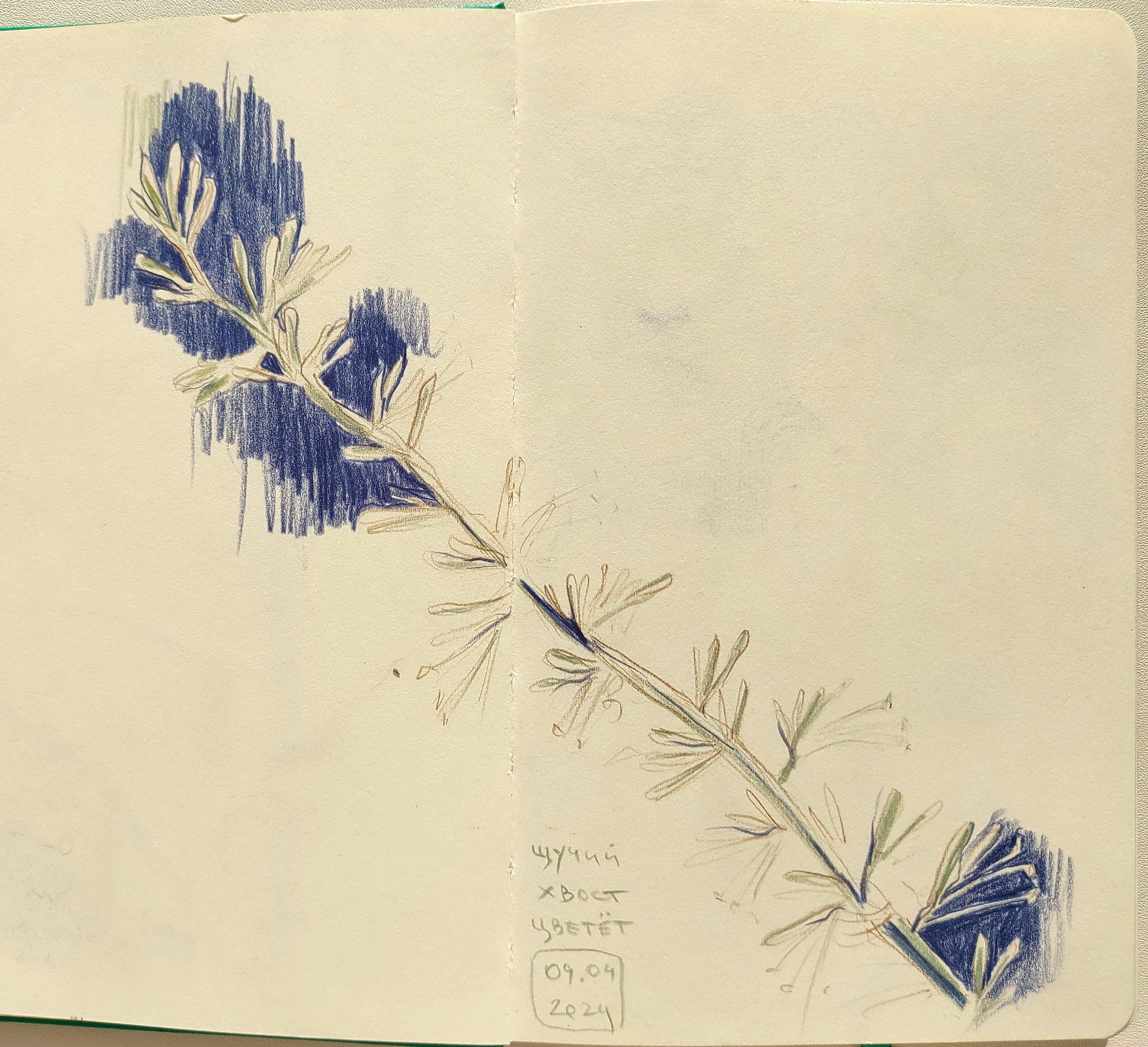 Quick Sketches. Alexander Manaenkov | Watercolor Artist from Siberia