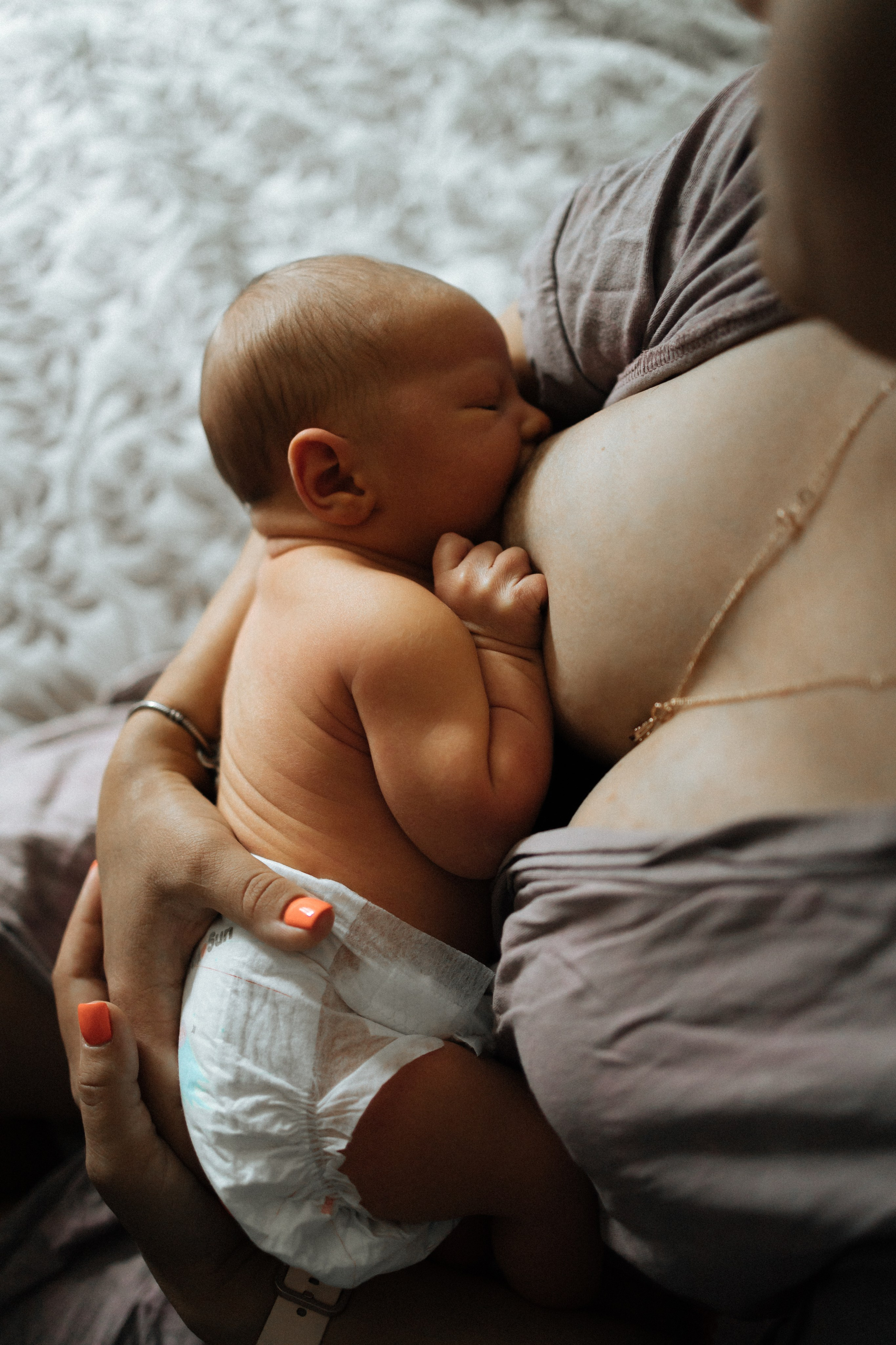 Домашние. Главная