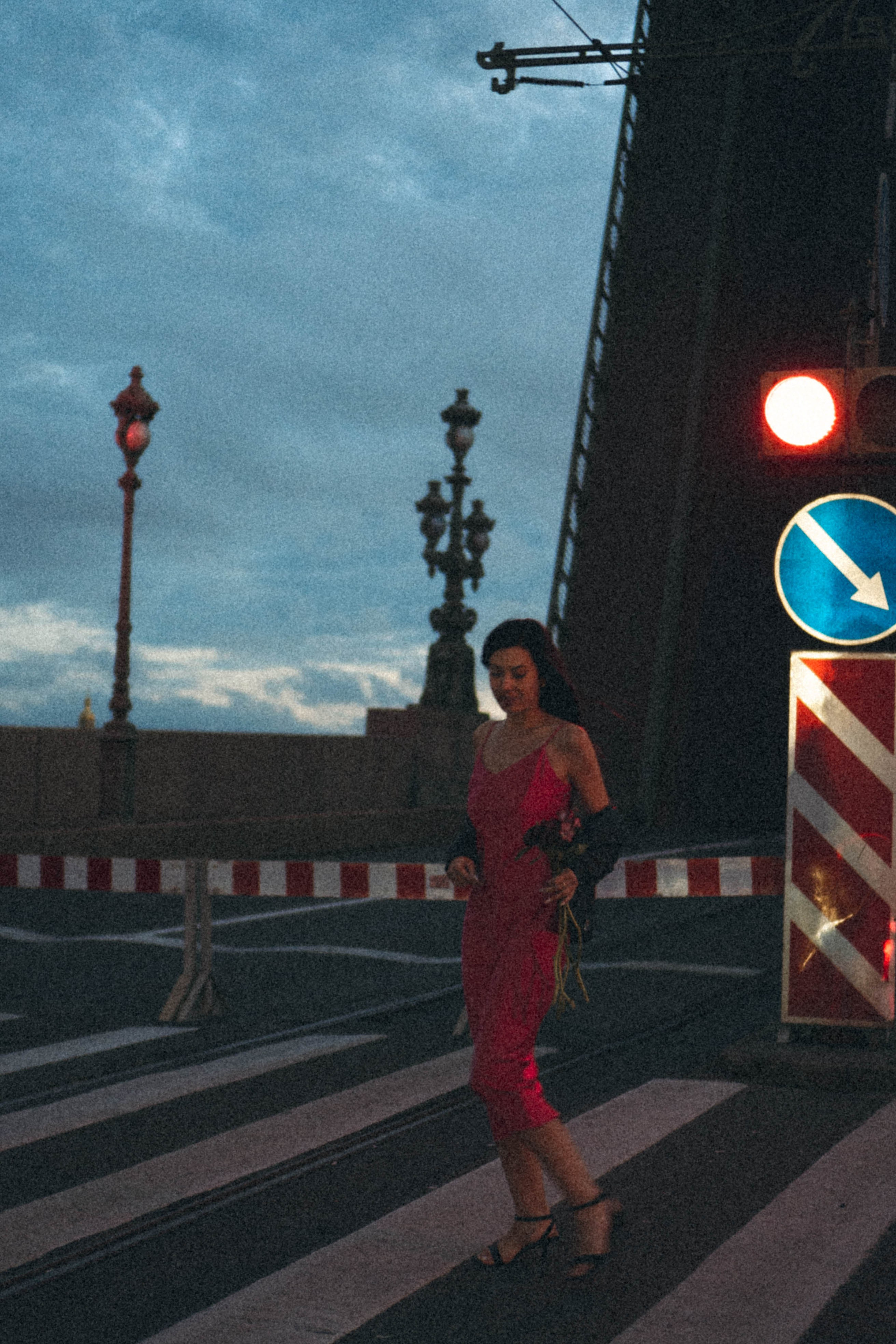 Ночная серия. Профессиональный фотограф, Санкт-Петербург — Виктория Богомолова