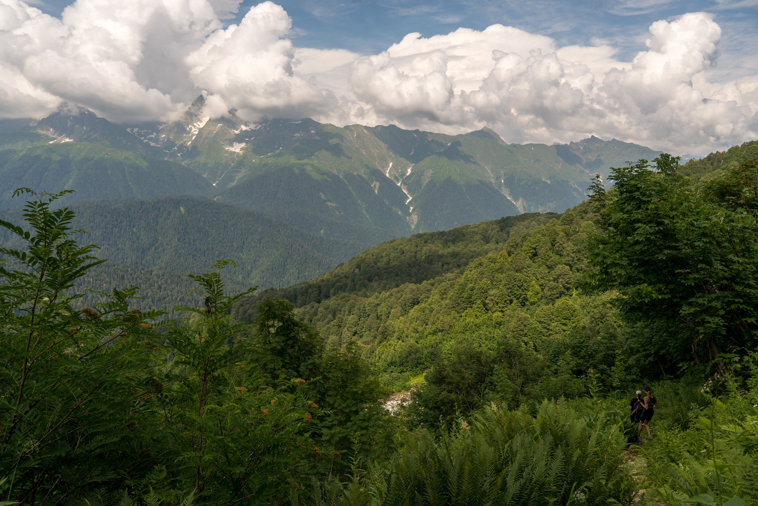 MICE мероприятие для компании «Доставка морем»: хайкинг к Ачипсинским водопадам. Репортажный фотограф в Красной Поляне и Сочи Павлюченко Екатерина