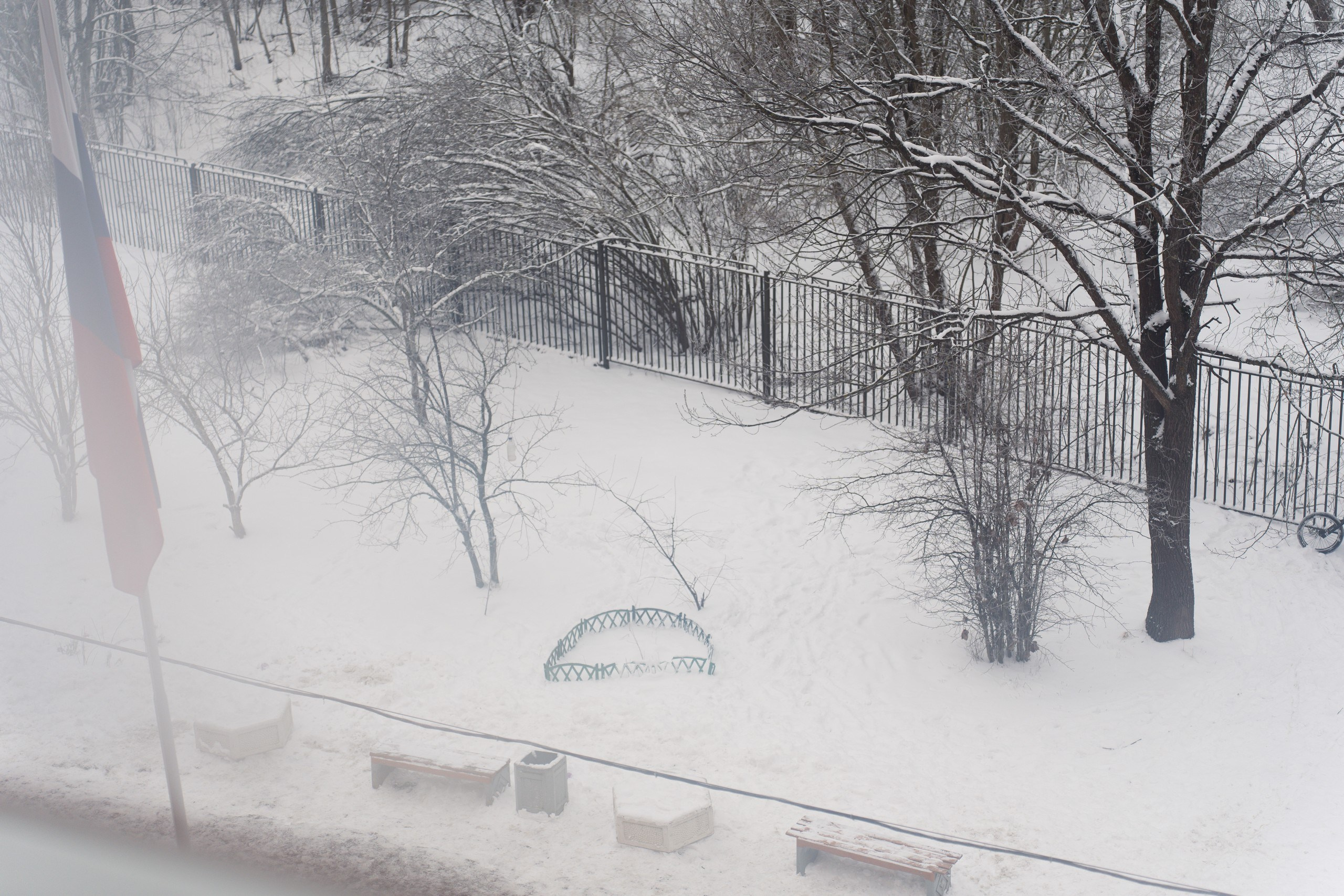 Пятёрка для ребёнка. Репортажная съёмка в Санкт-Петербурге, Константин Петров