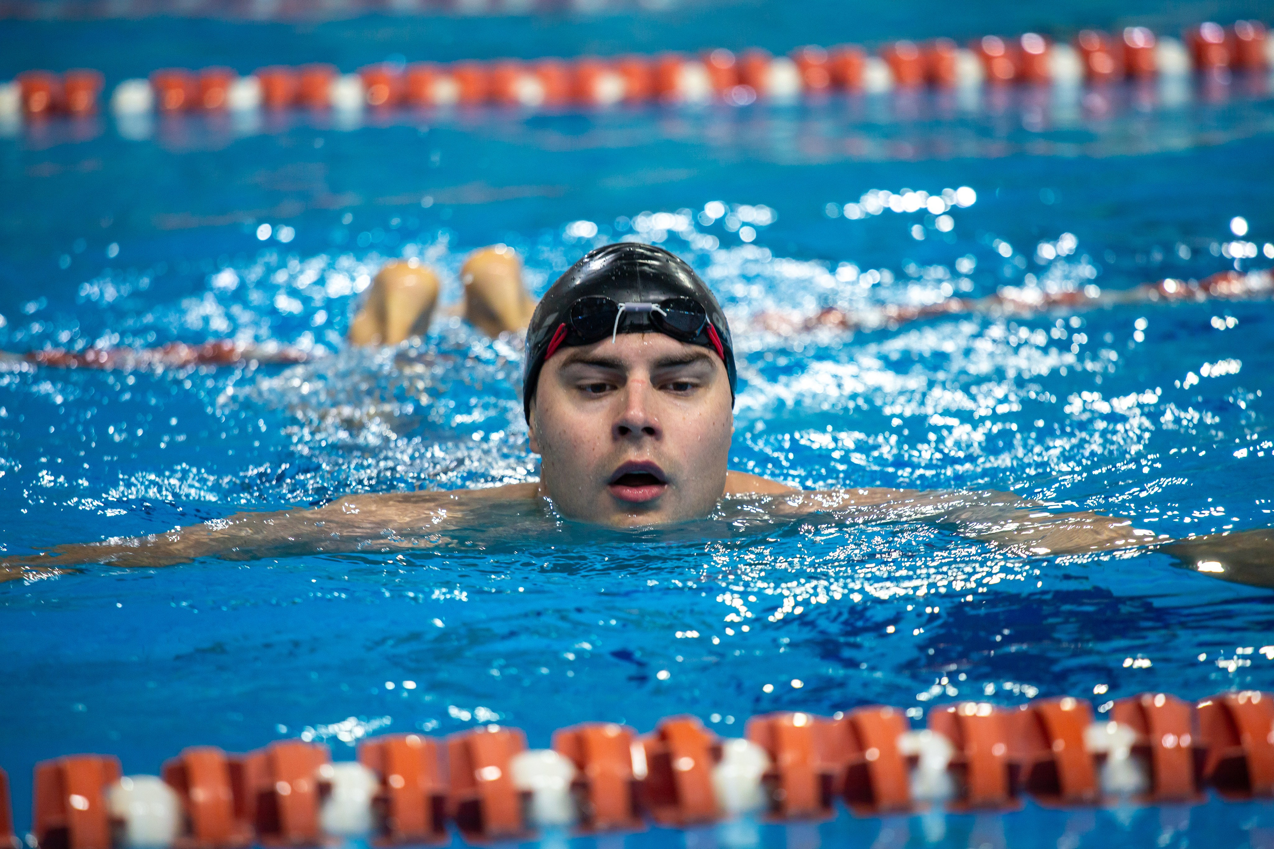Турнир по плаванию. Репортажный, семейный, свадебный, портретный фотограф