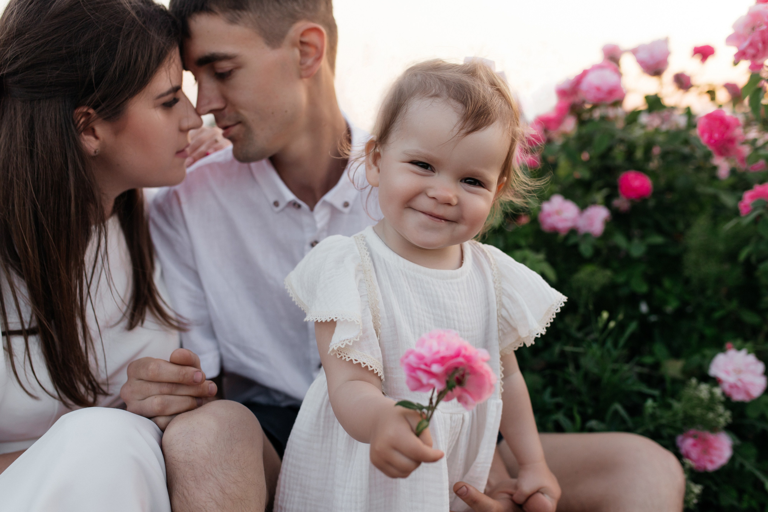 Rose. ФОТОГРАФ