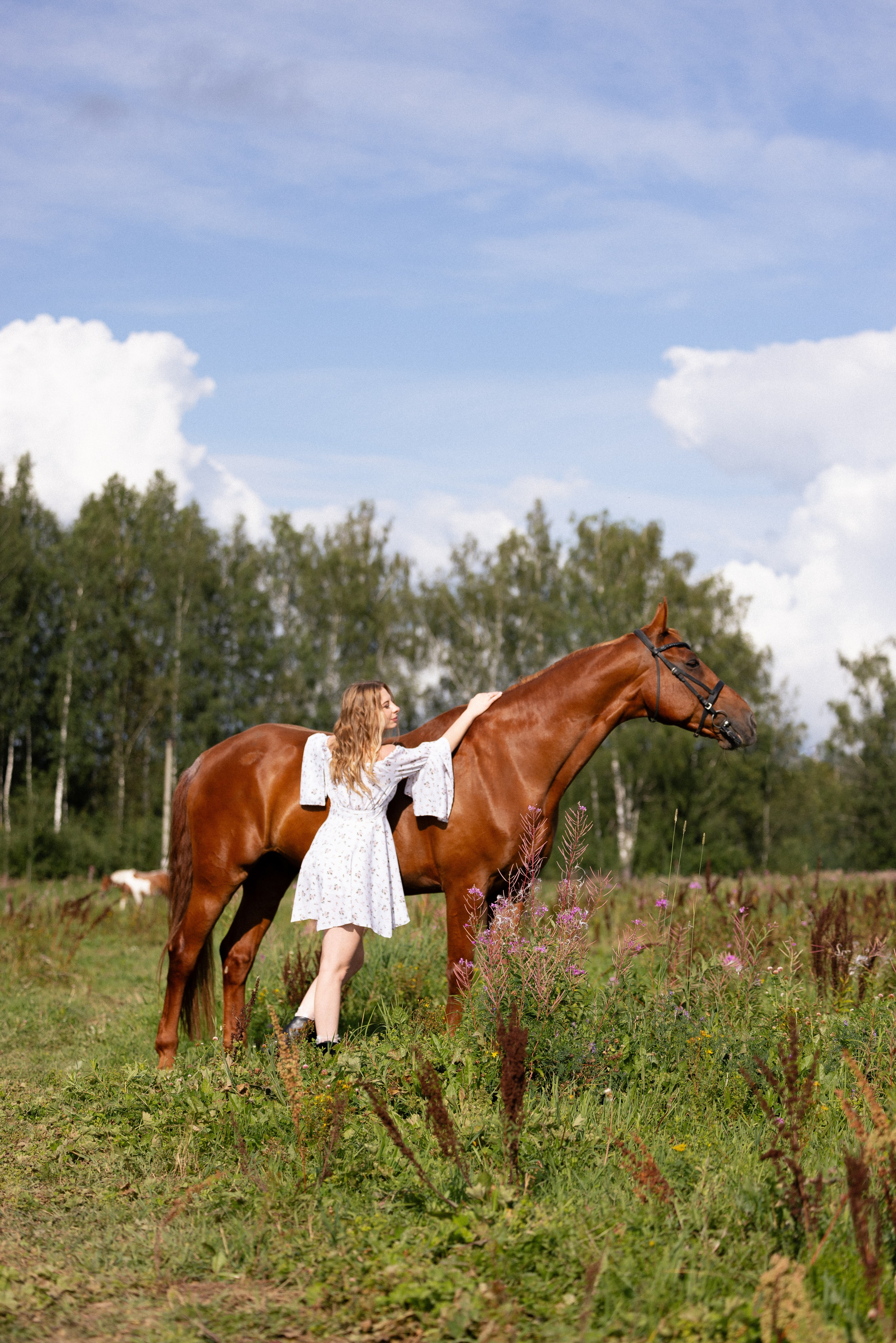 Мария и Реванш. Фотограф и видеограф анималист Аганина Дарья