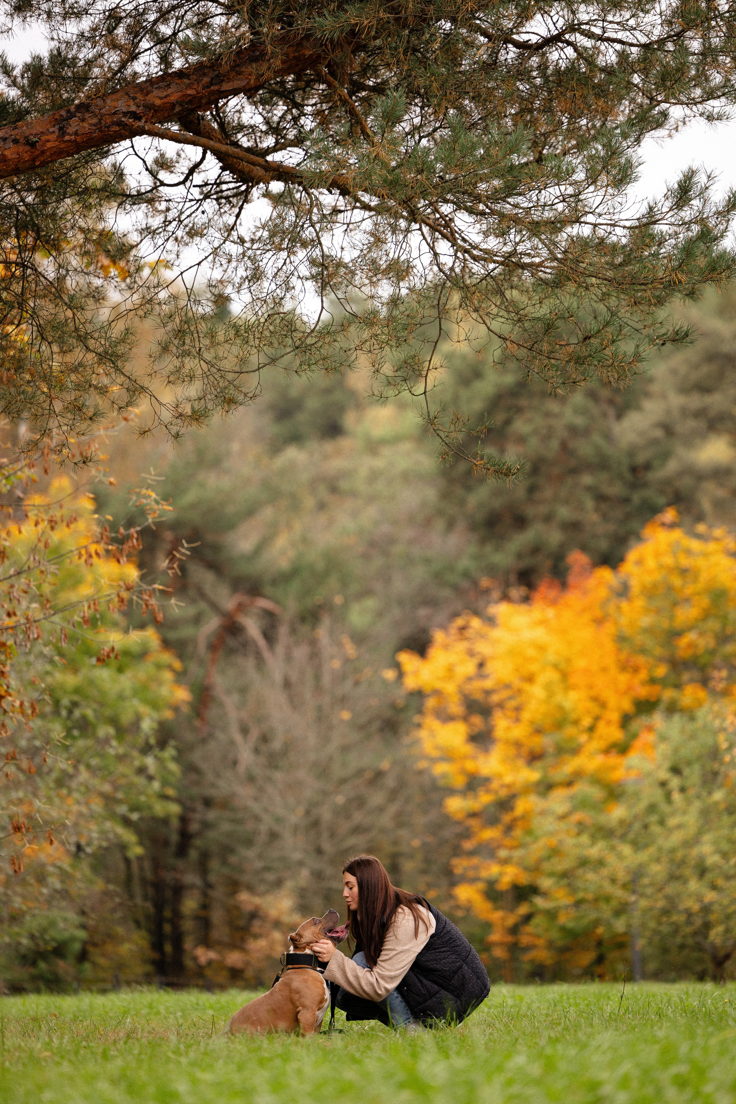 Алена и Тор. Фотограф и видеограф анималист Аганина Дарья