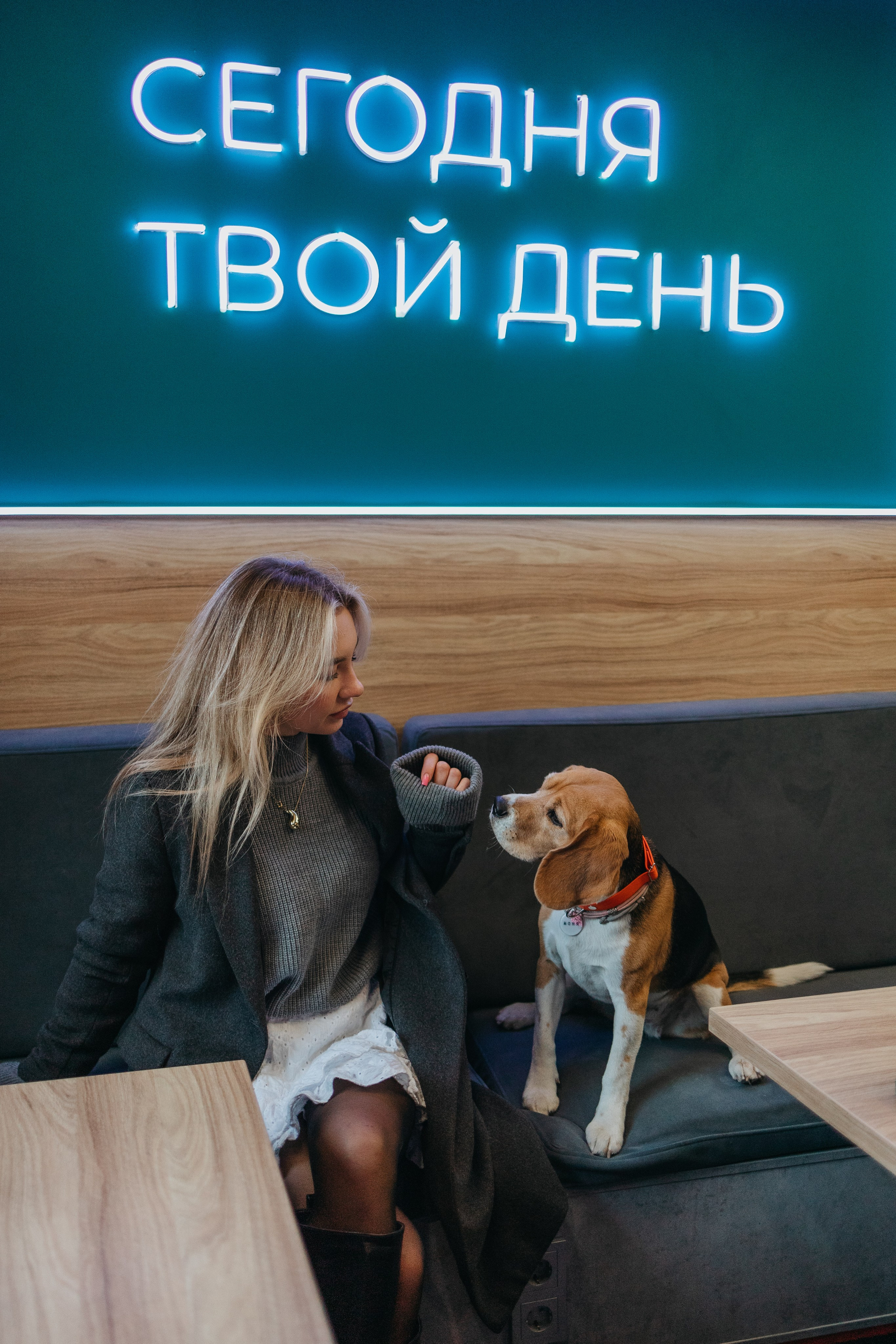 Аня и Моня. Фотограф — анималист Светлана Кысса|фотограф собак в Краснодаре и Нижнем Новгороде