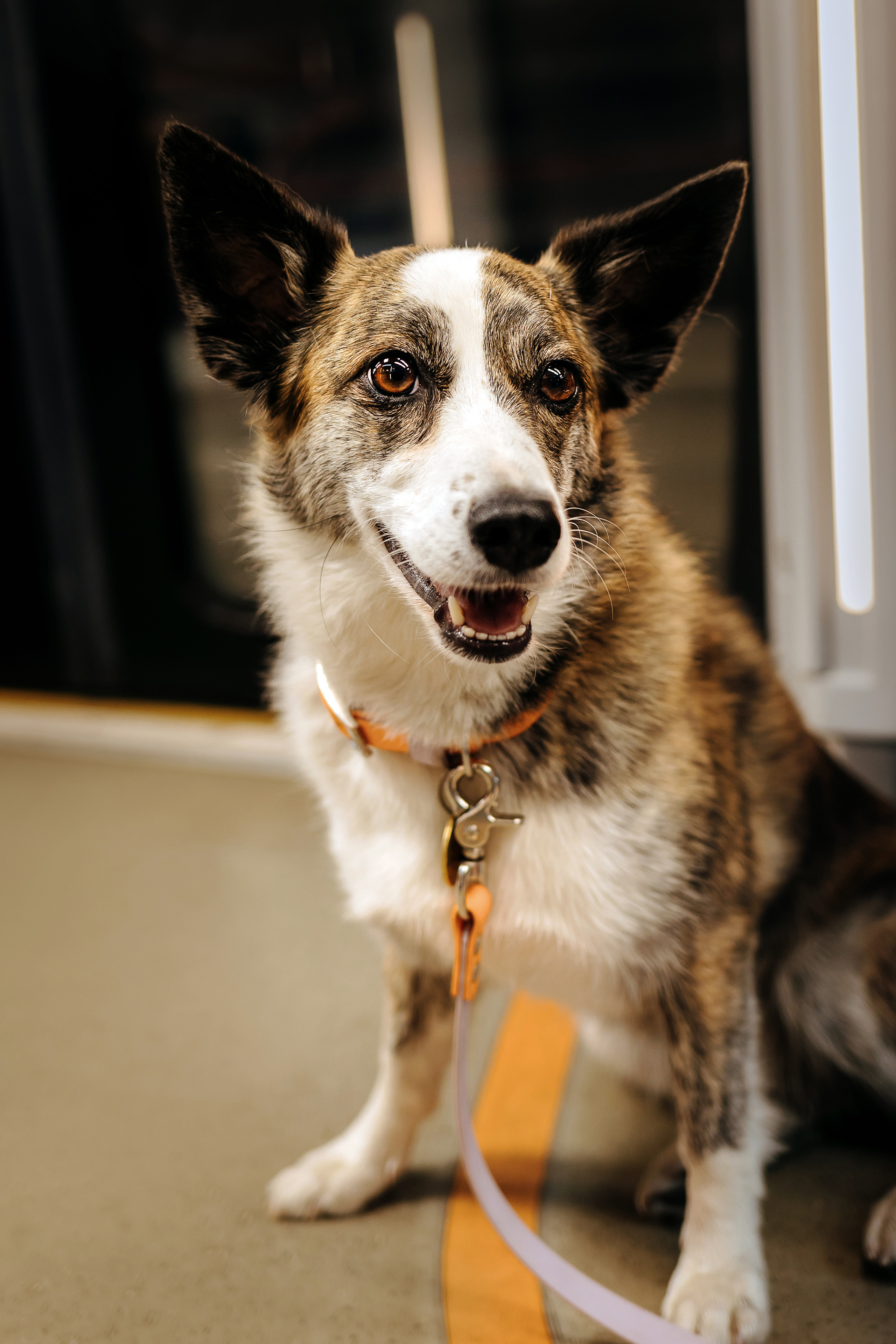 Фотосессия с Дашей и Тори в московском метро