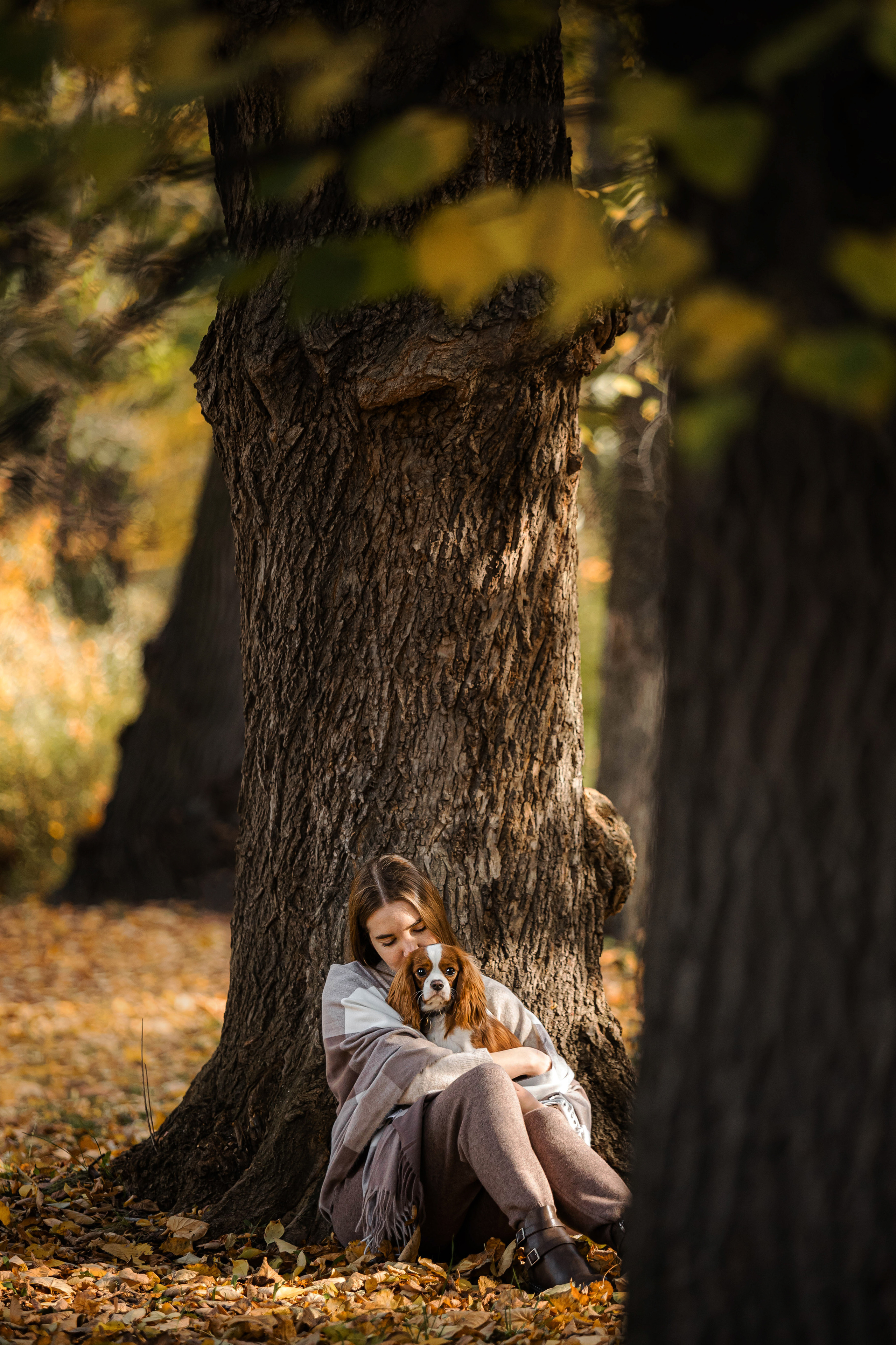 Фотосессия с собакой Флаффи в Москве