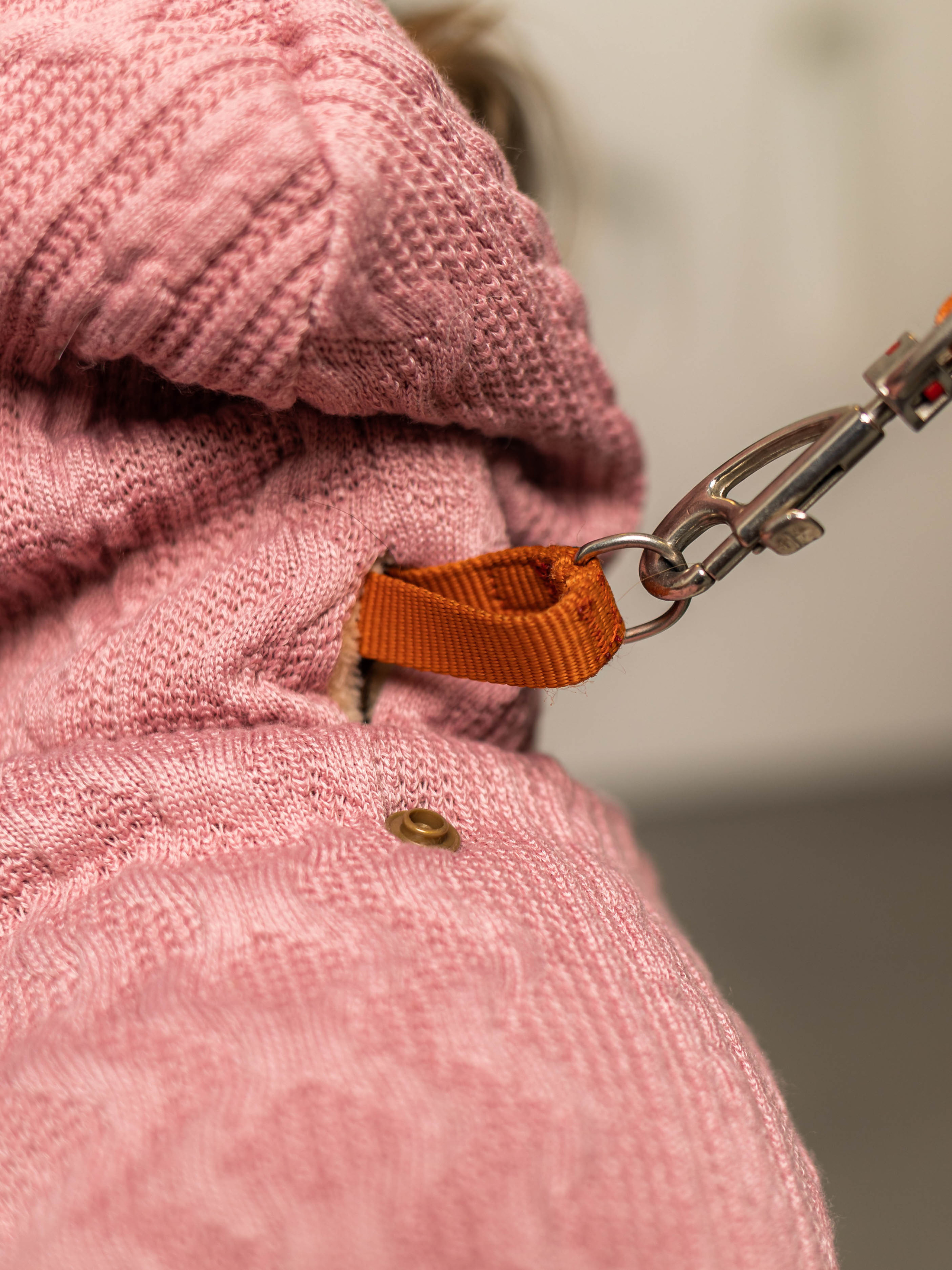 Фотосессия для каталога собачьих товаров на Wildberries