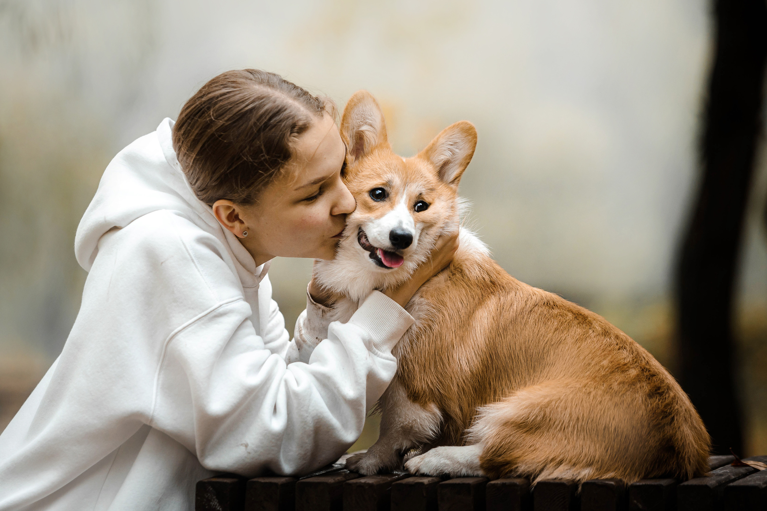 Фотосессия с собакой Заей в Москве