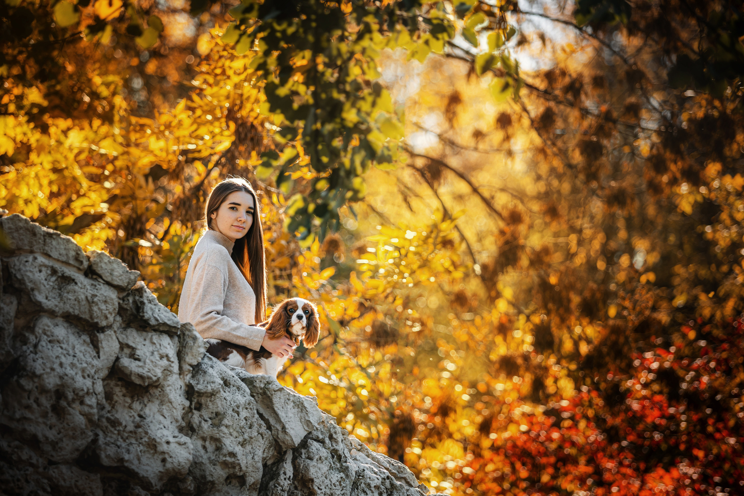 Фотосессия с собакой Флаффи в Москве