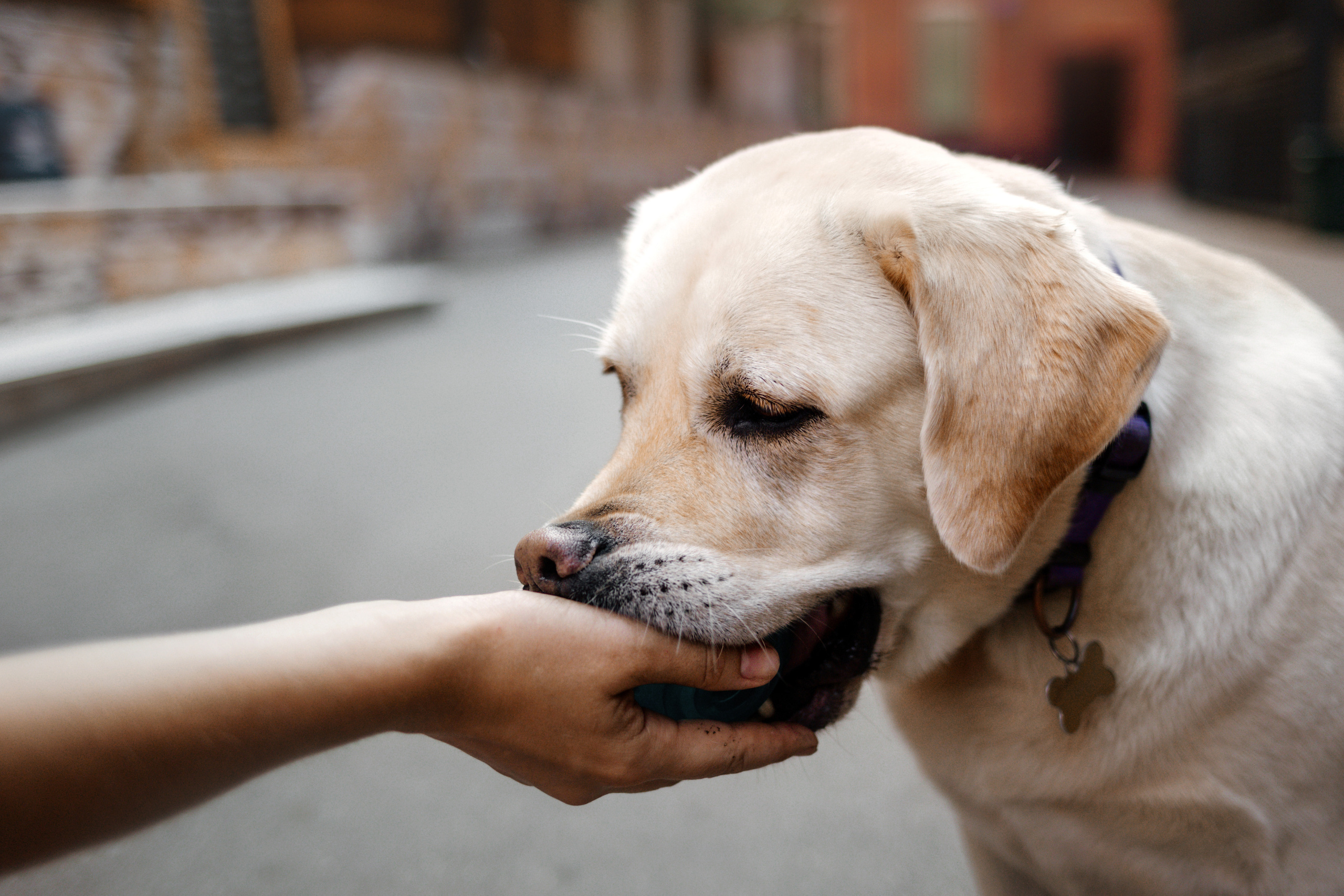 Настя и Мэри