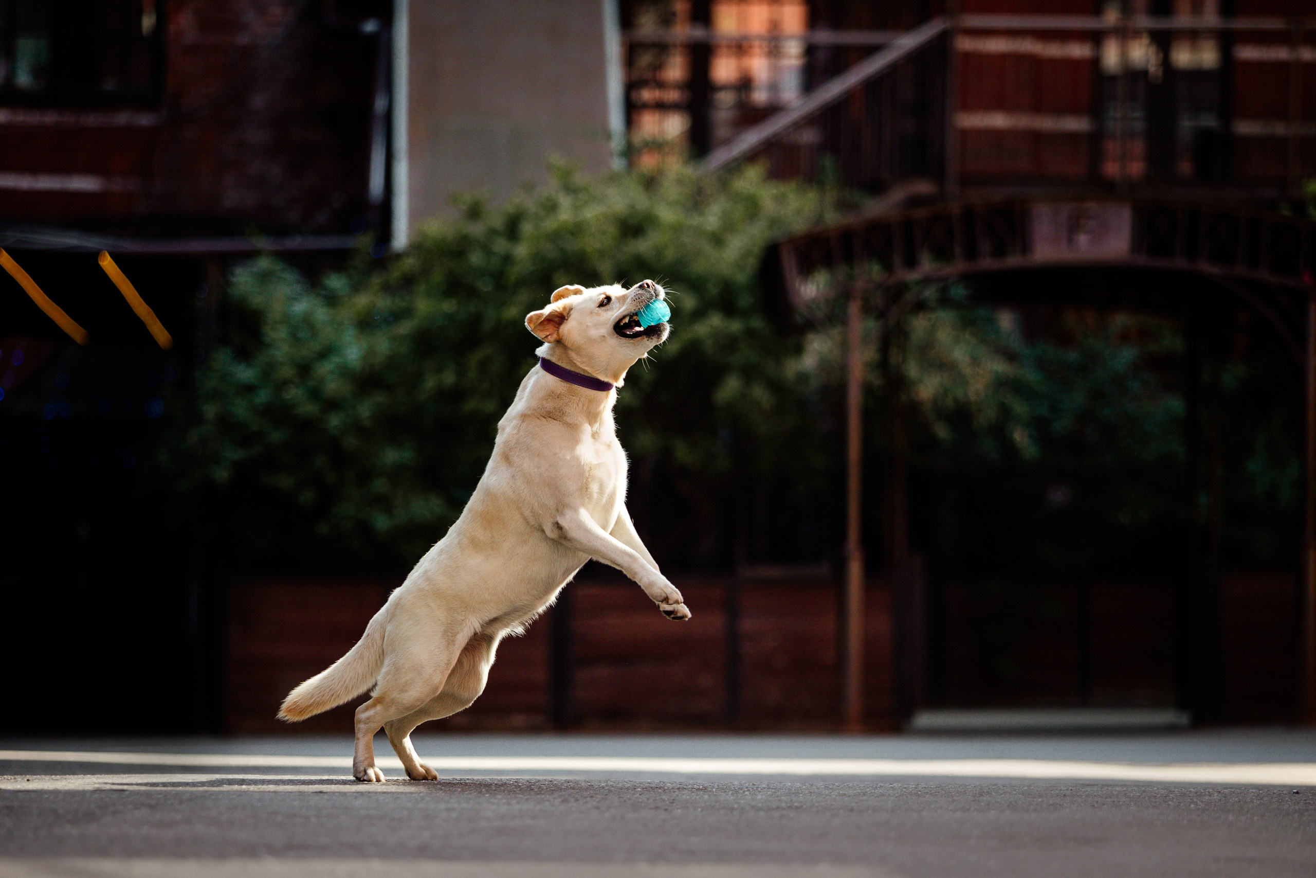 Настя и Мэри