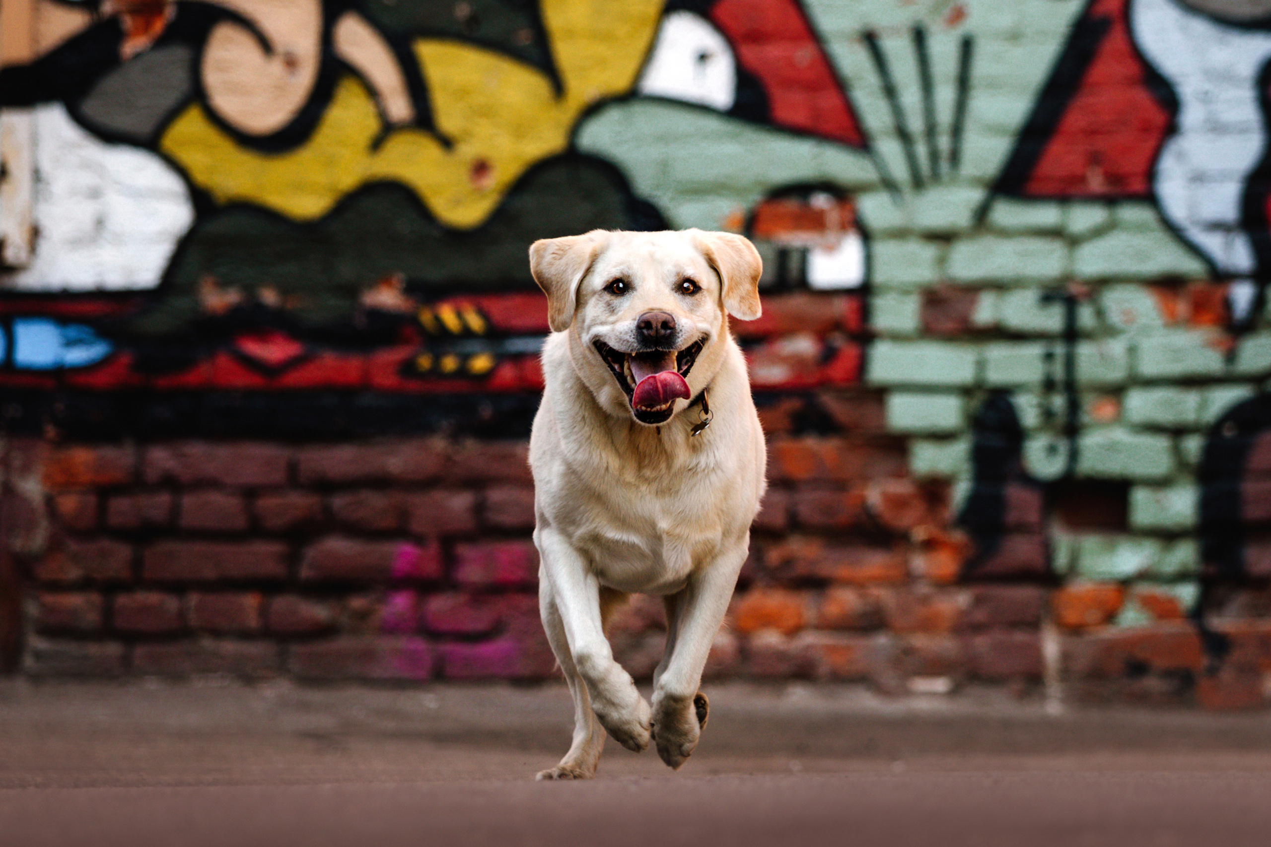 Настя и Мэри