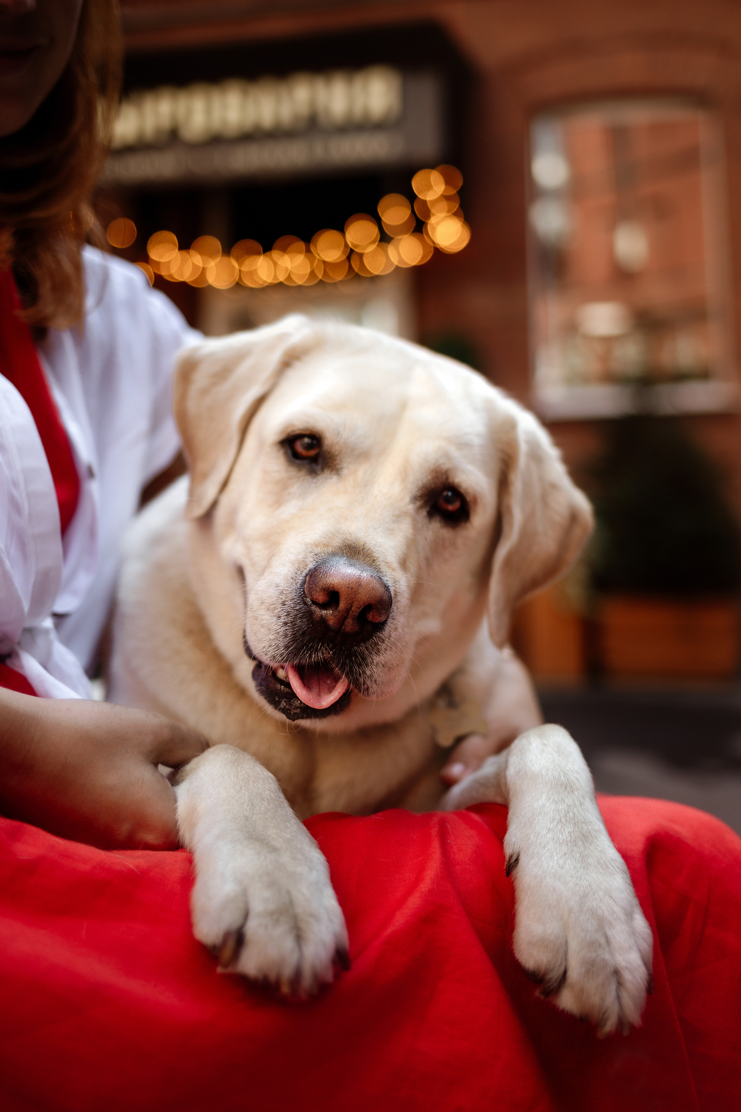 Настя и Мэри