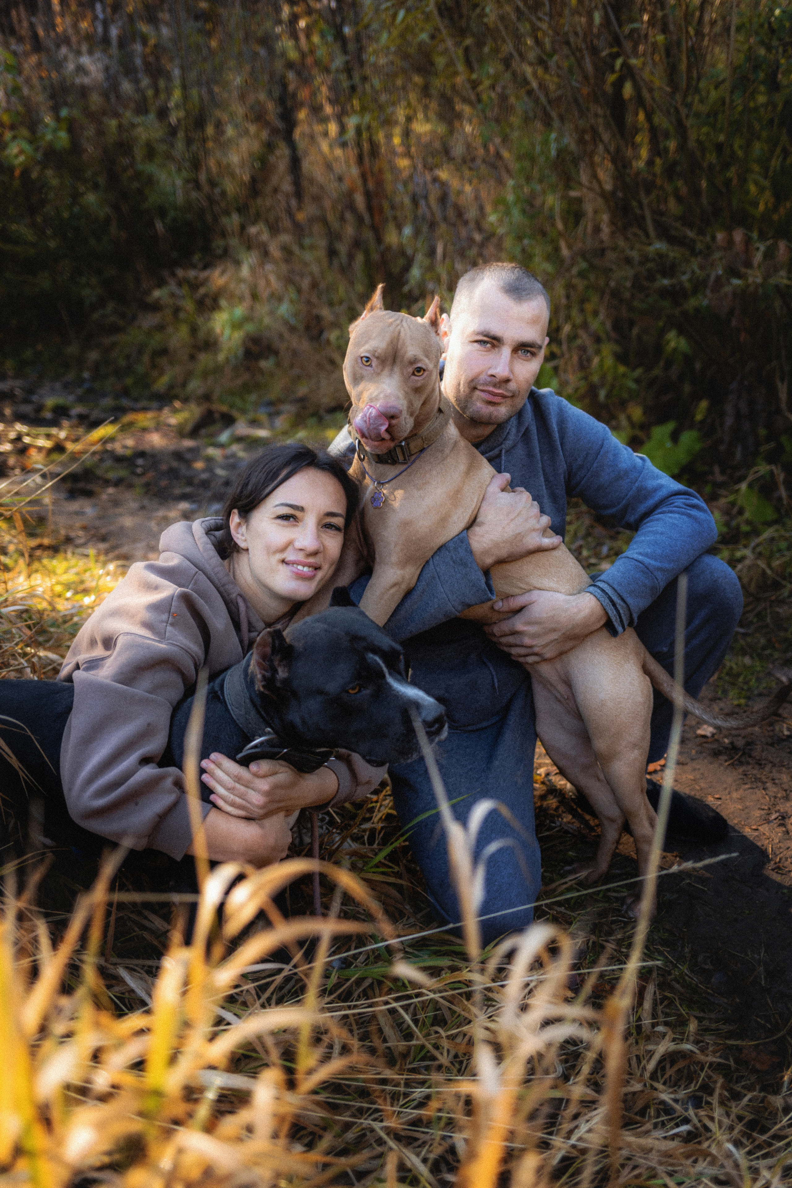Фотосессия с собаками Камю и Афина в Москве