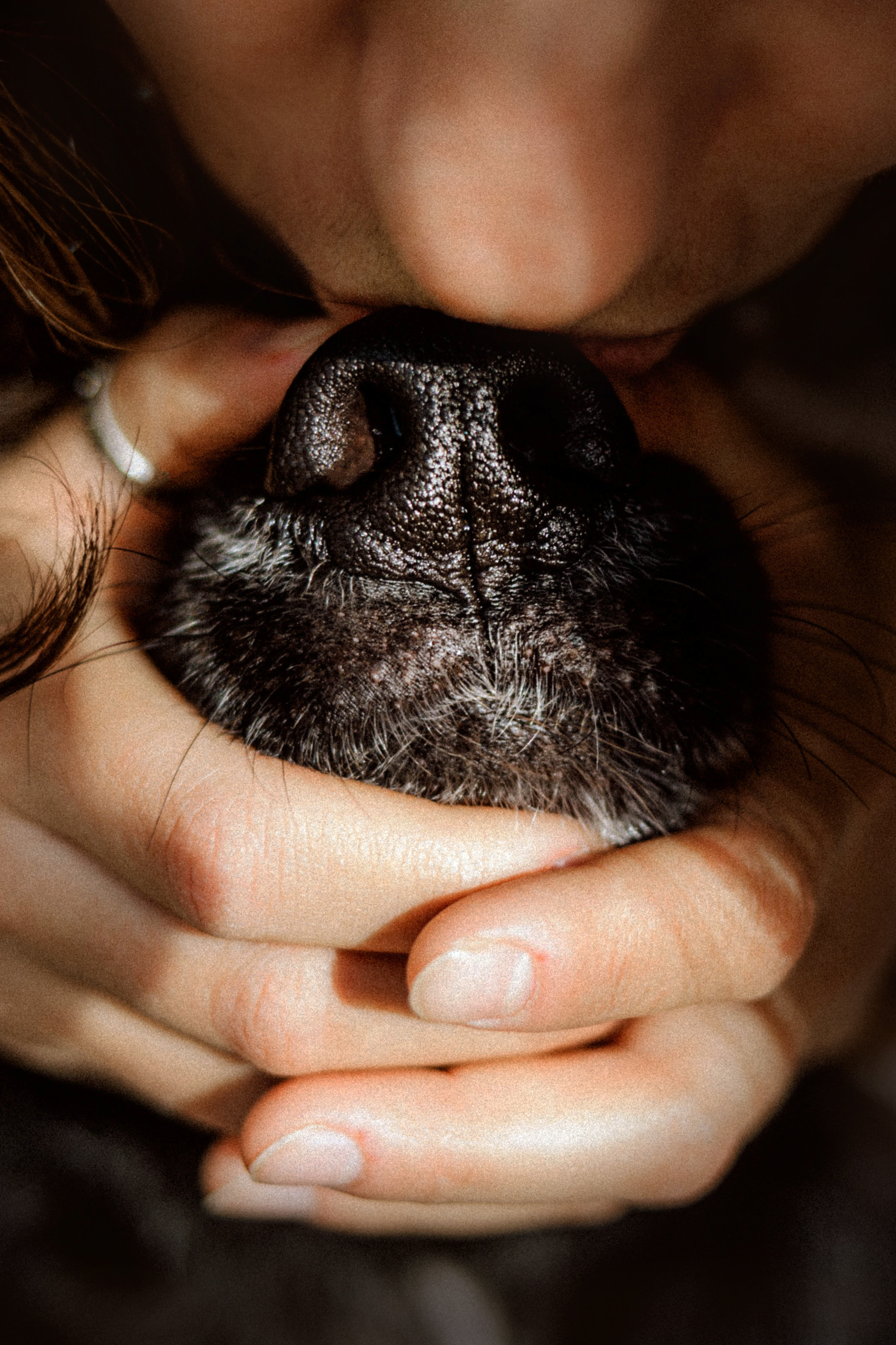 Диана и Чили