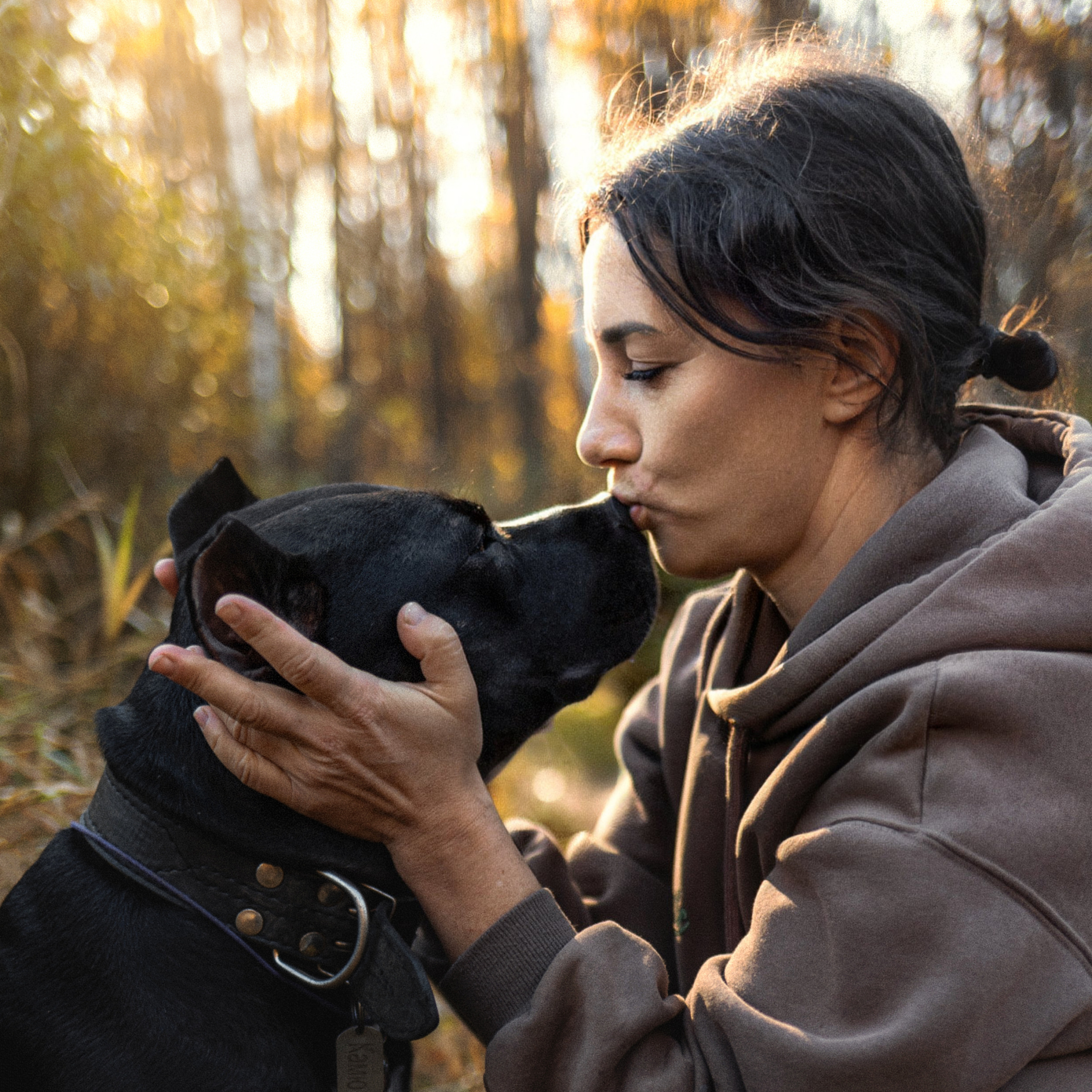 Фотосессия с собаками Камю и Афина в Москве