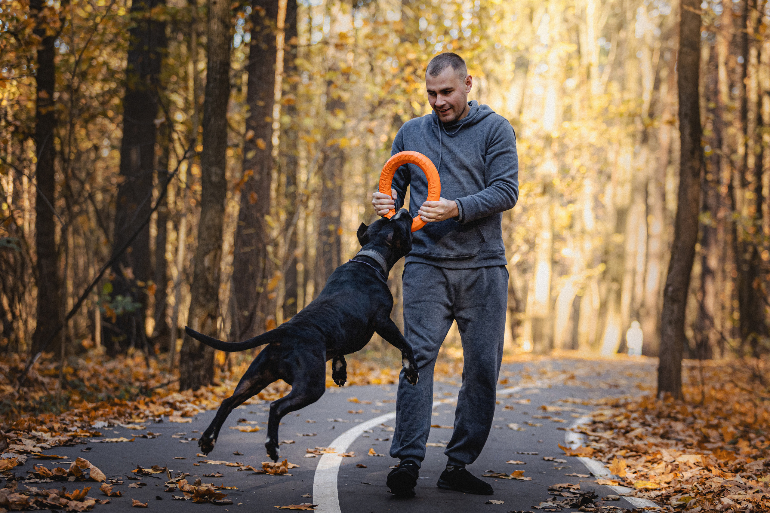 Фотосессия с собаками Камю и Афина в Москве