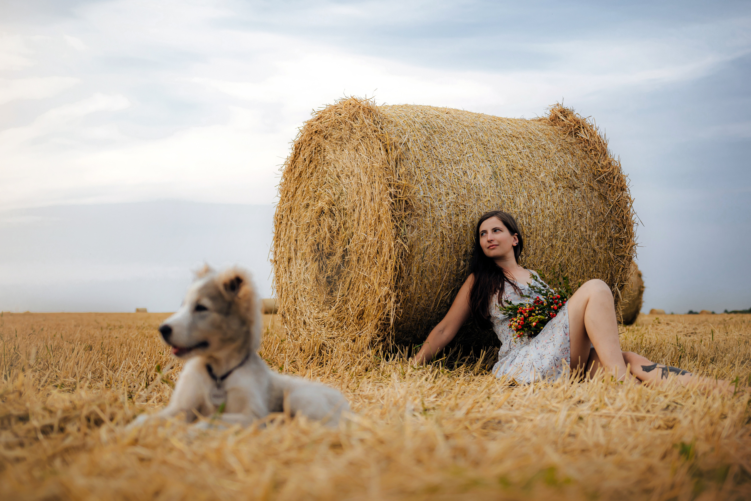 Фотосессия со стогами сена с собаками в Москве