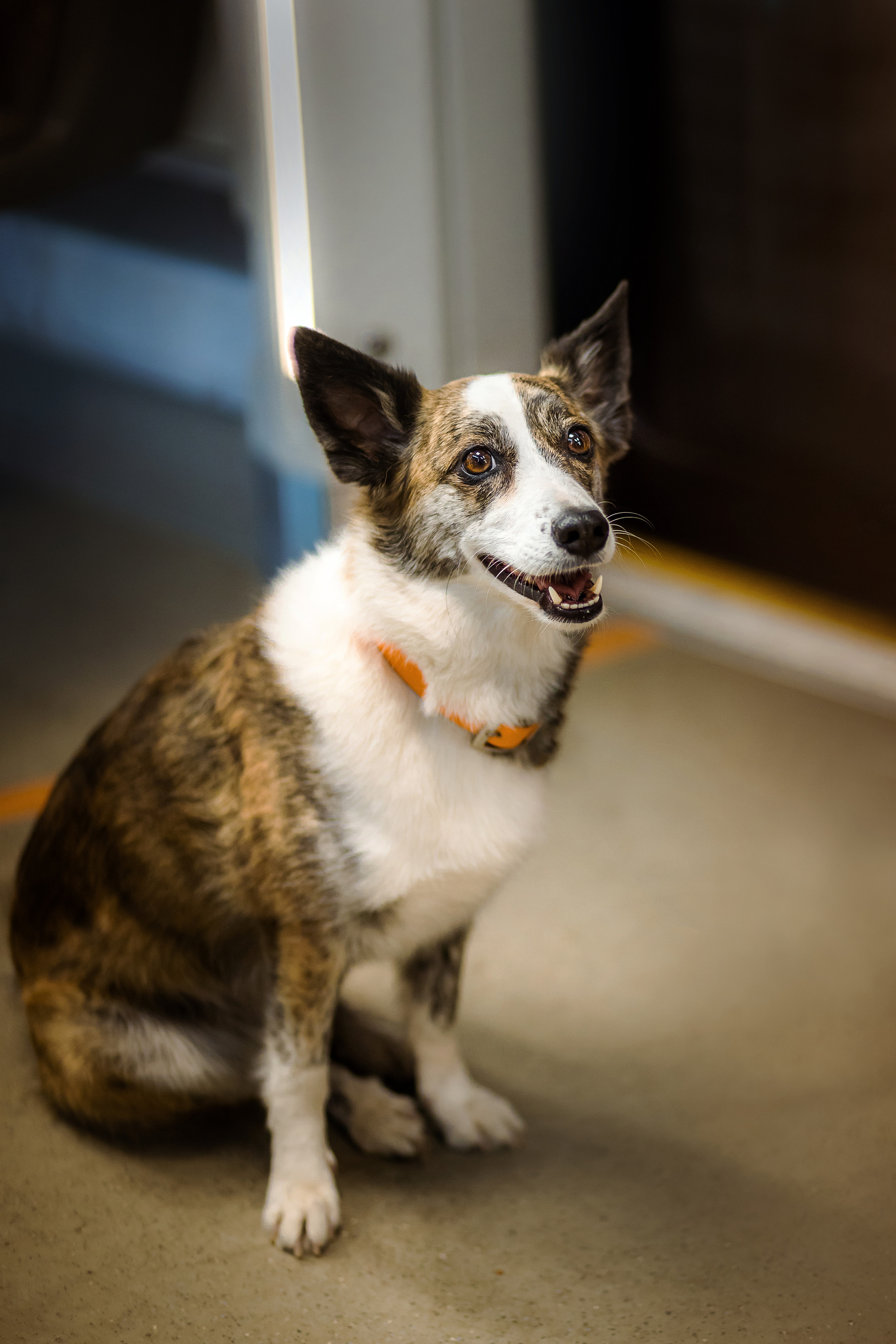 Фотосессия с Дашей и Тори в московском метро